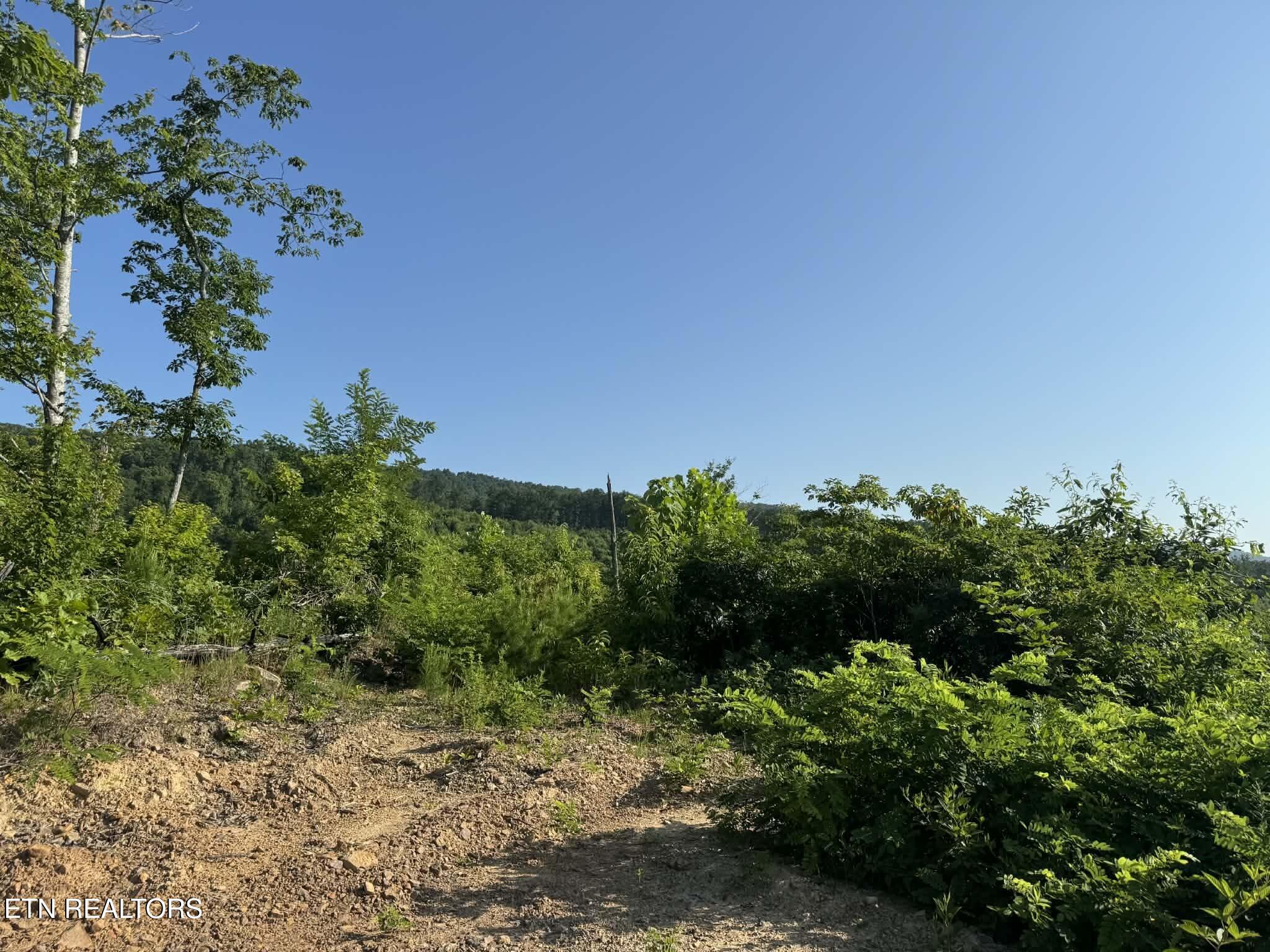 Tower Road Tazewell TN 37879