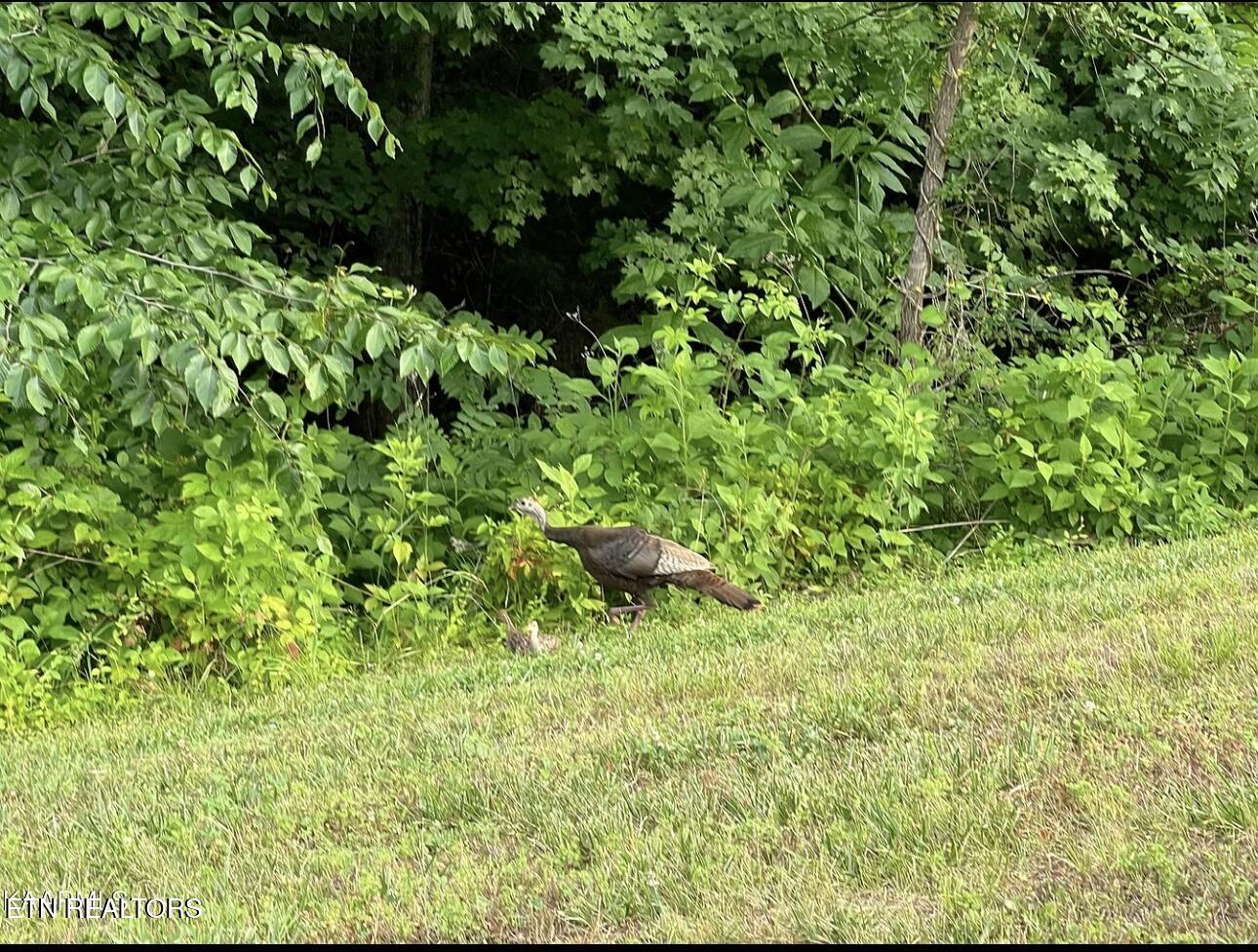 334 Enclave Way Kingston TN 37763
