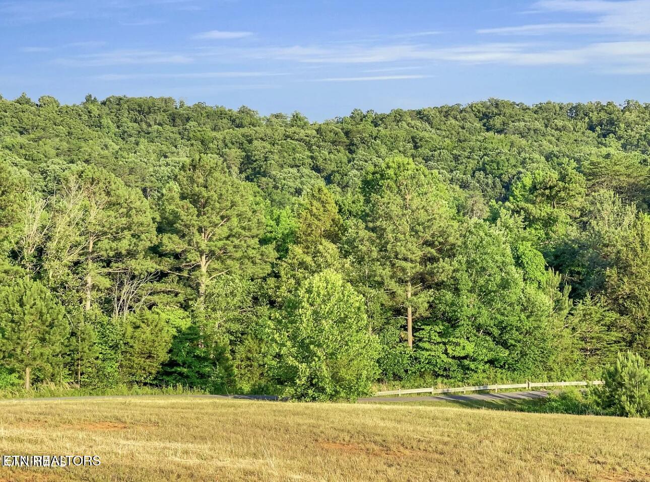 334 Enclave Way Kingston TN 37763