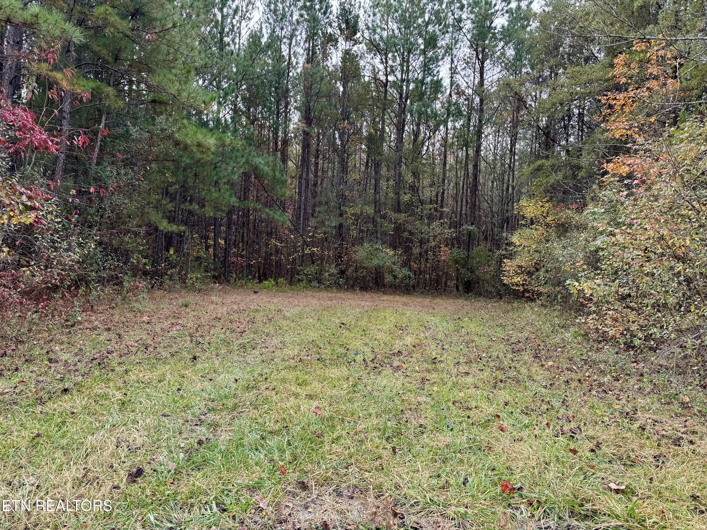 Airport Road Lot 9 Rockwood TN 37854