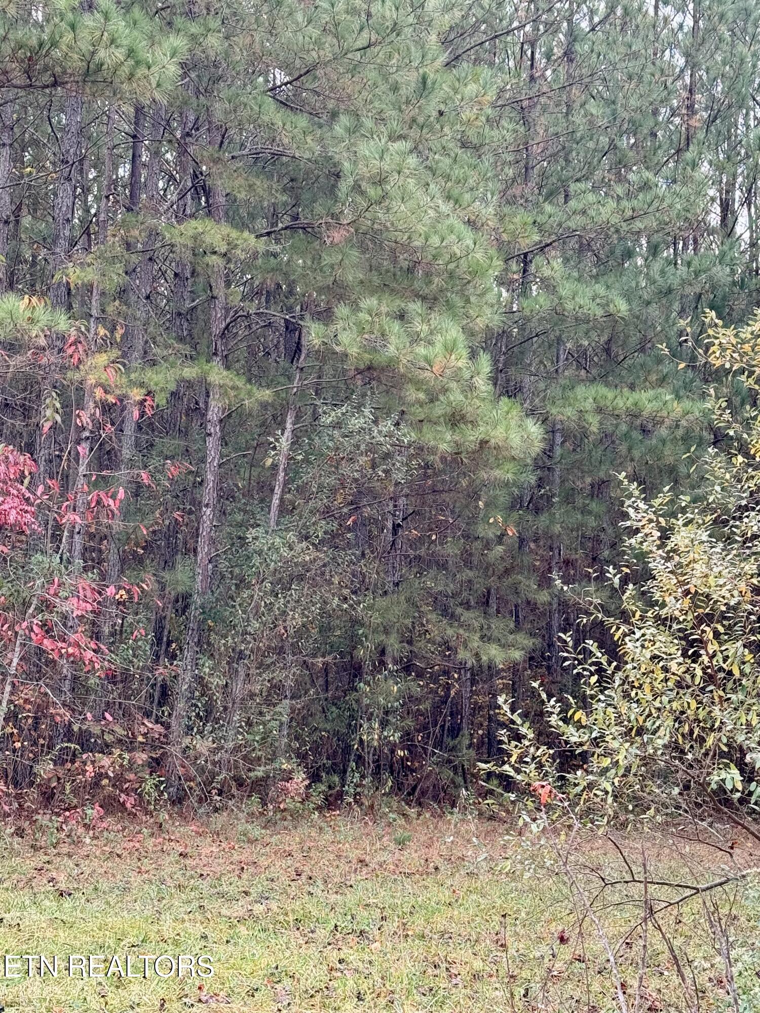 Airport Road Lot 9 Rockwood TN 37854