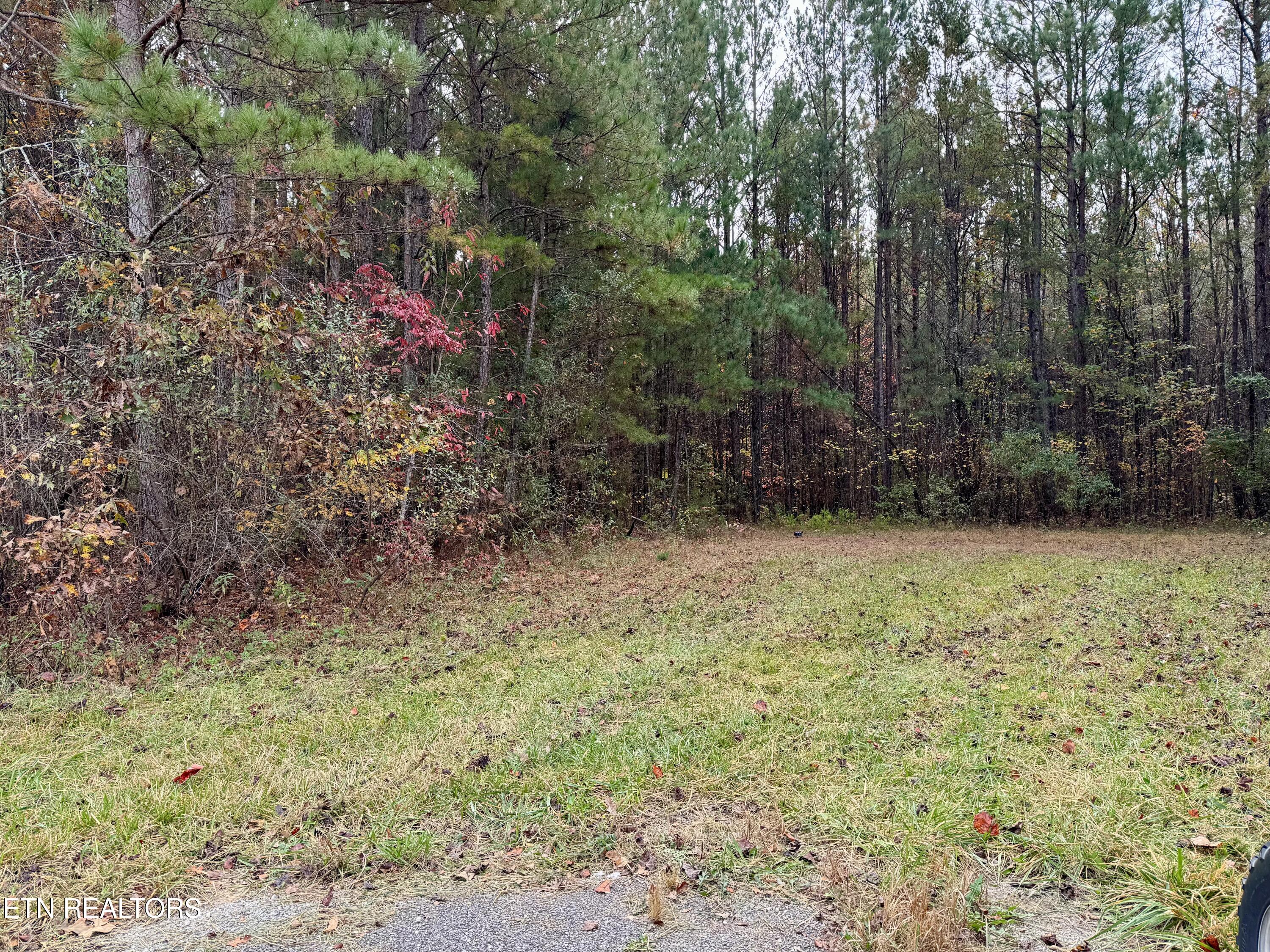 Airport Road Lot 9 Rockwood TN 37854