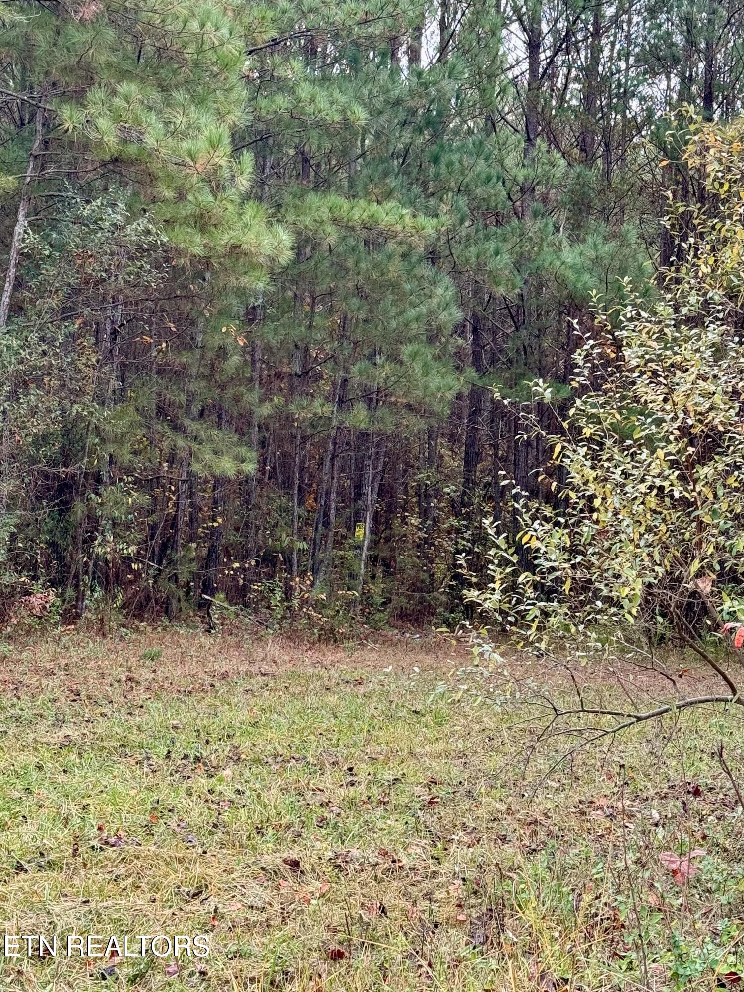 Airport Road Lot 9 Rockwood TN 37854