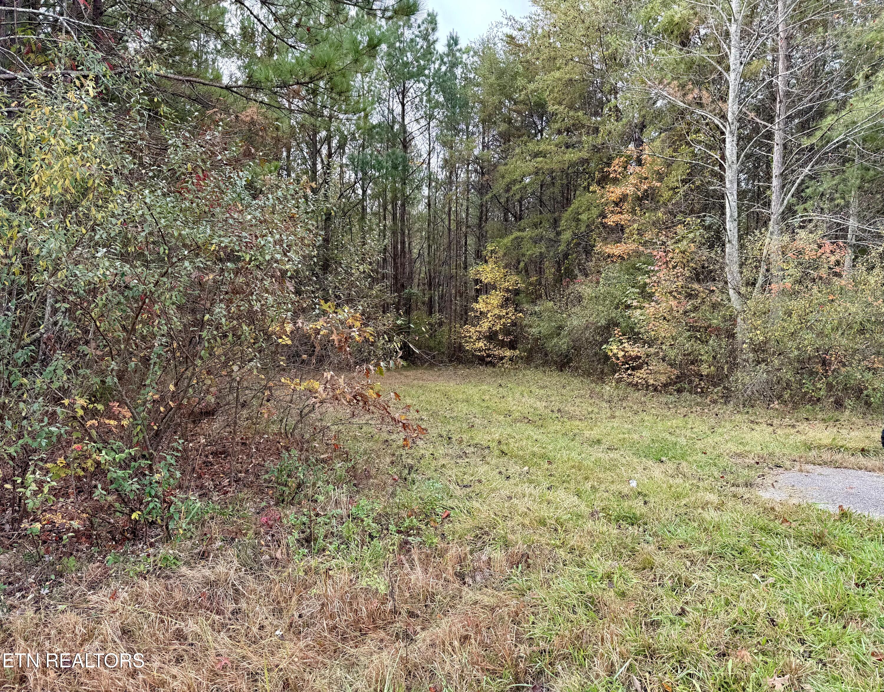 Airport Road Lot 9 Rockwood TN 37854