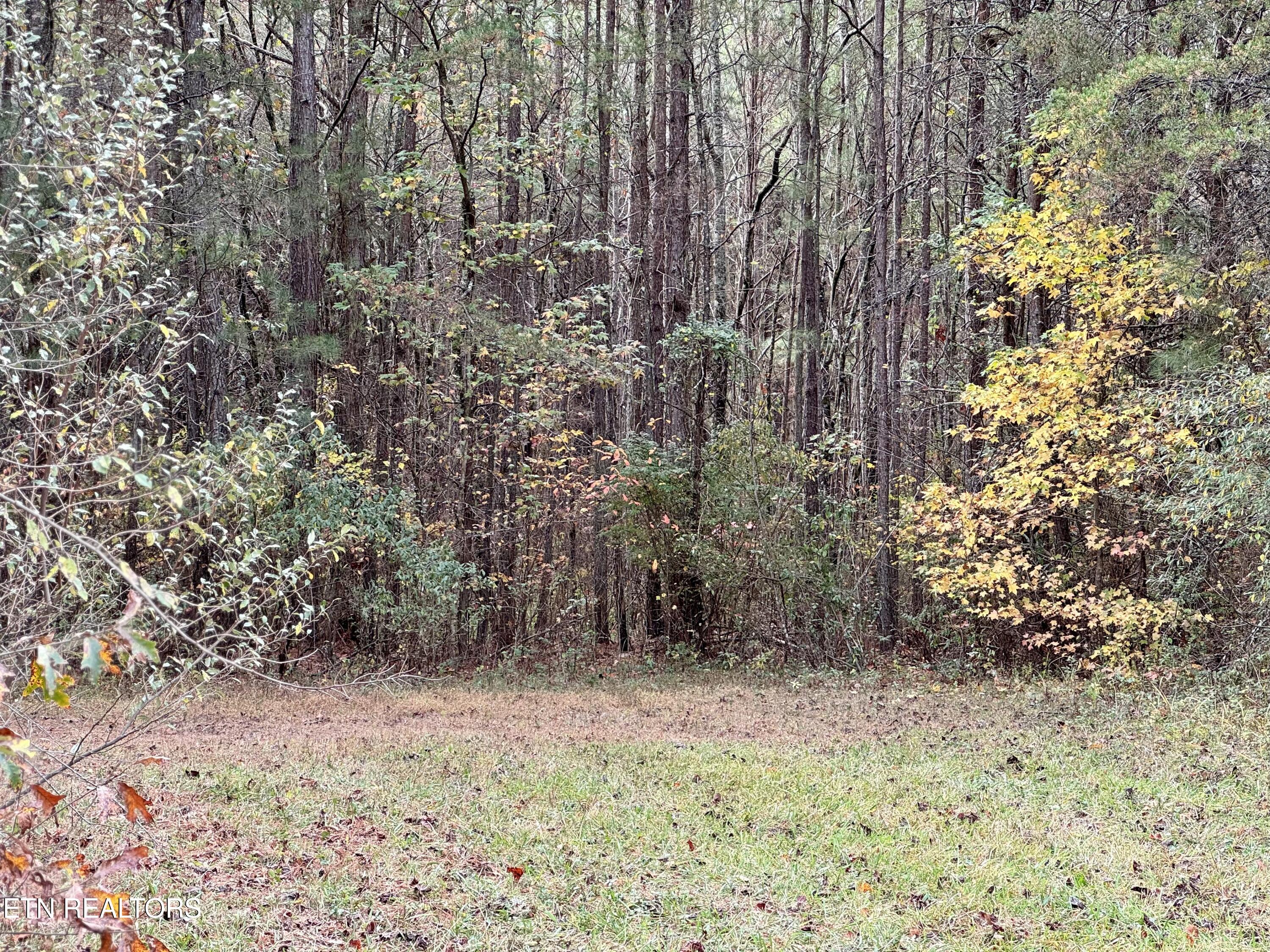 Airport Road Lot 9 Rockwood TN 37854