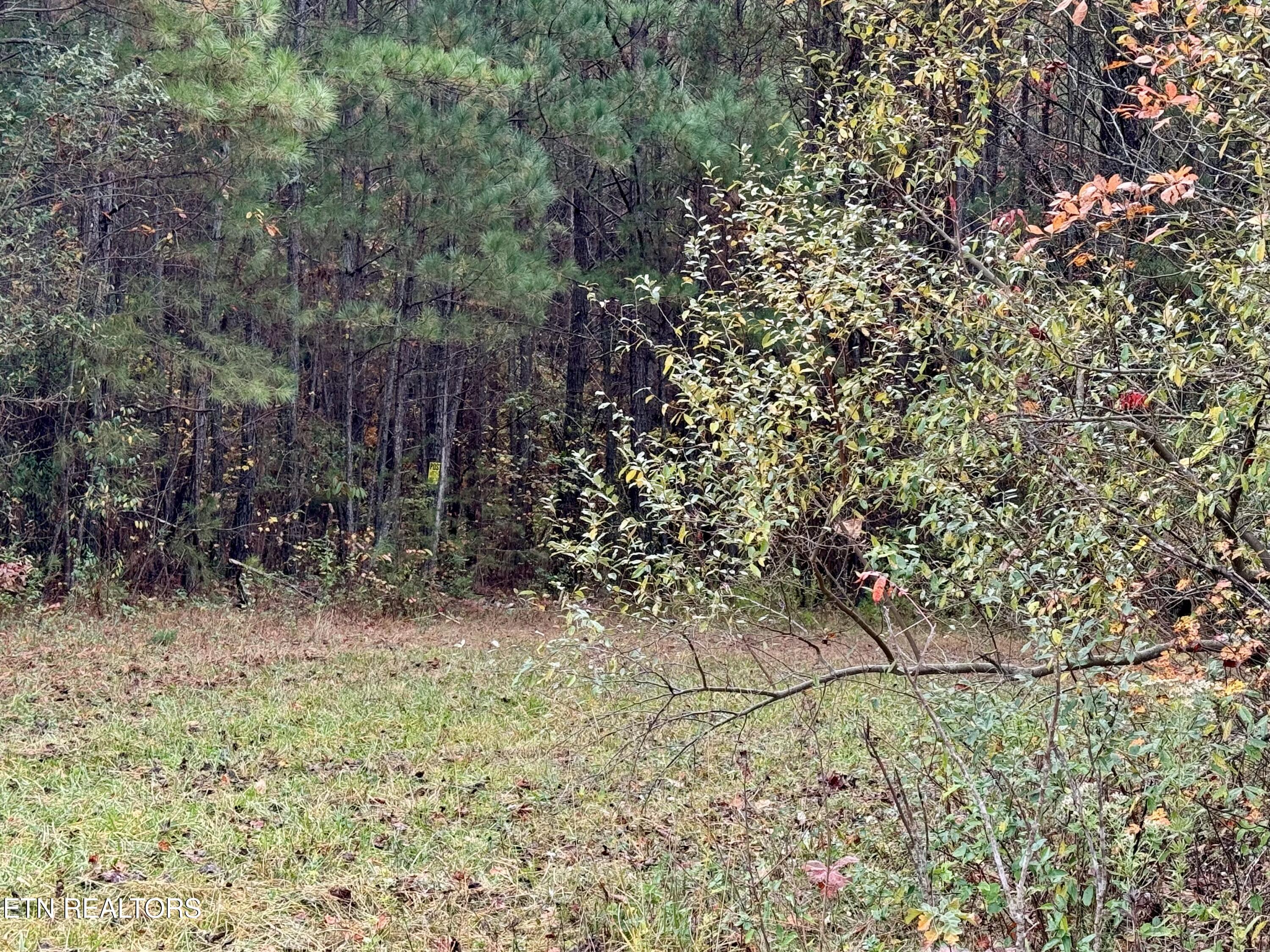 Airport Road Lot 9 Rockwood TN 37854