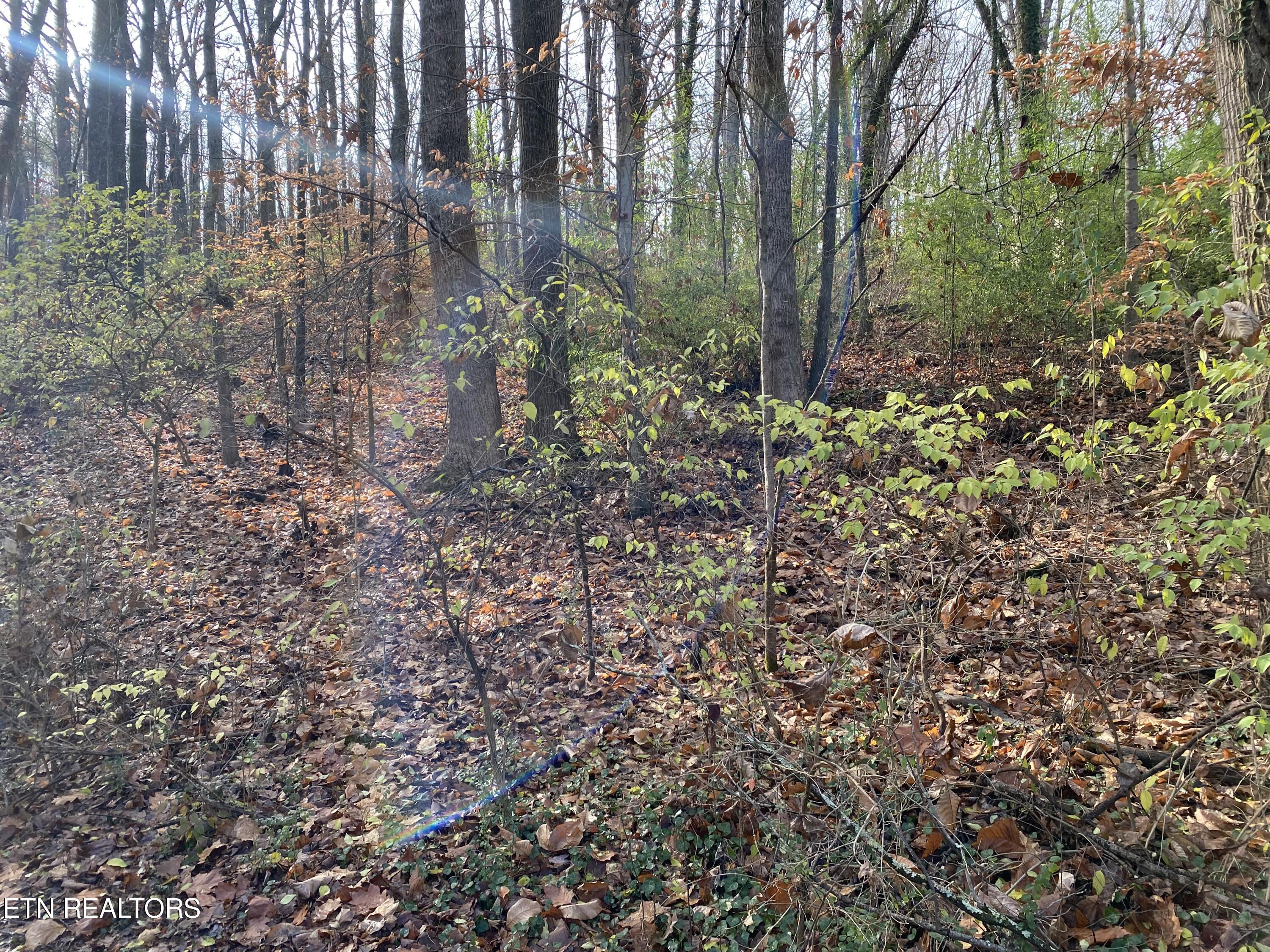 528 Jackson Hills Drive Maryville TN 37804