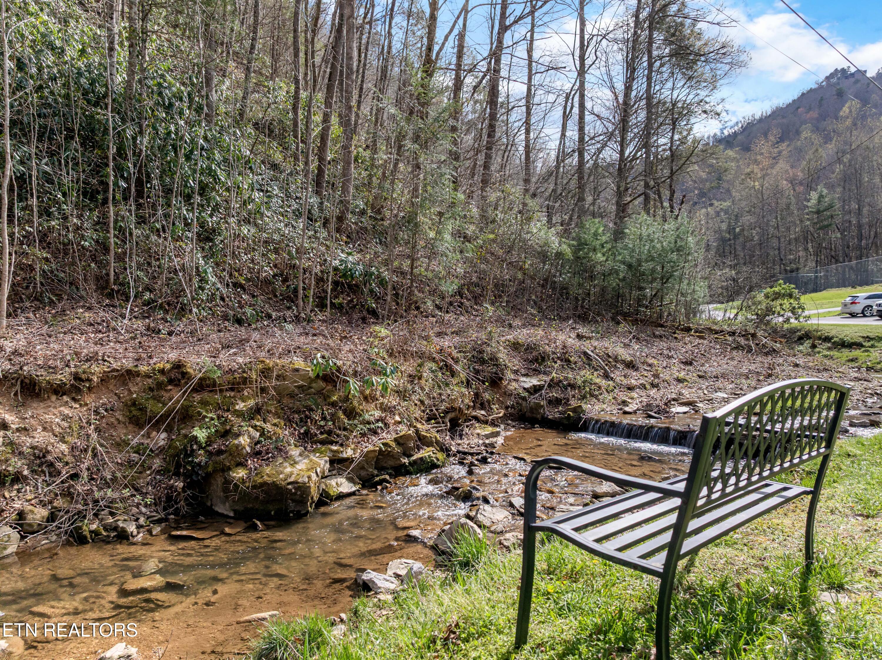 Lot 0008 Balsam Slopes Road Sevierville TN 37862