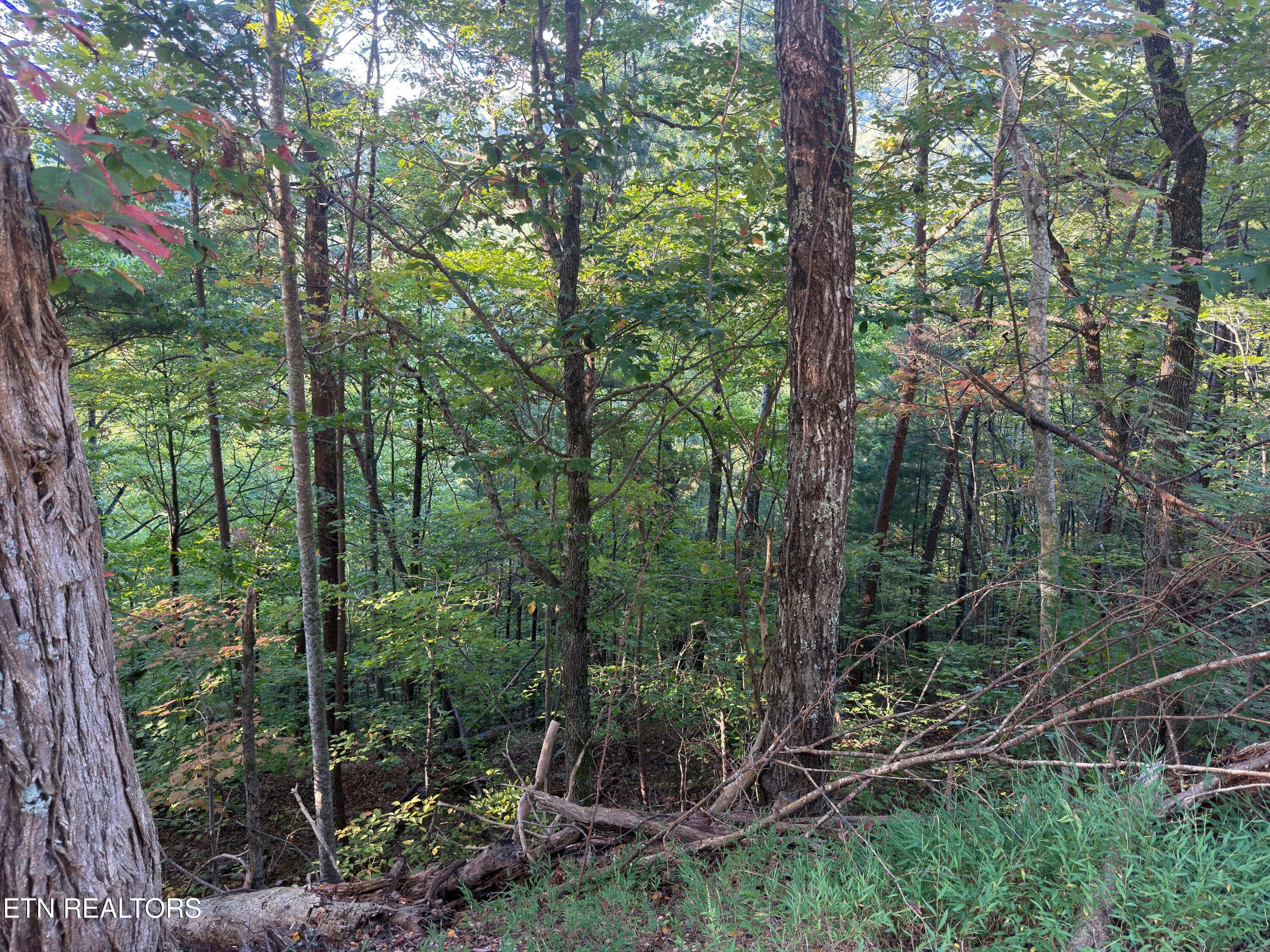 Overholt Trail Sevierville TN 37862