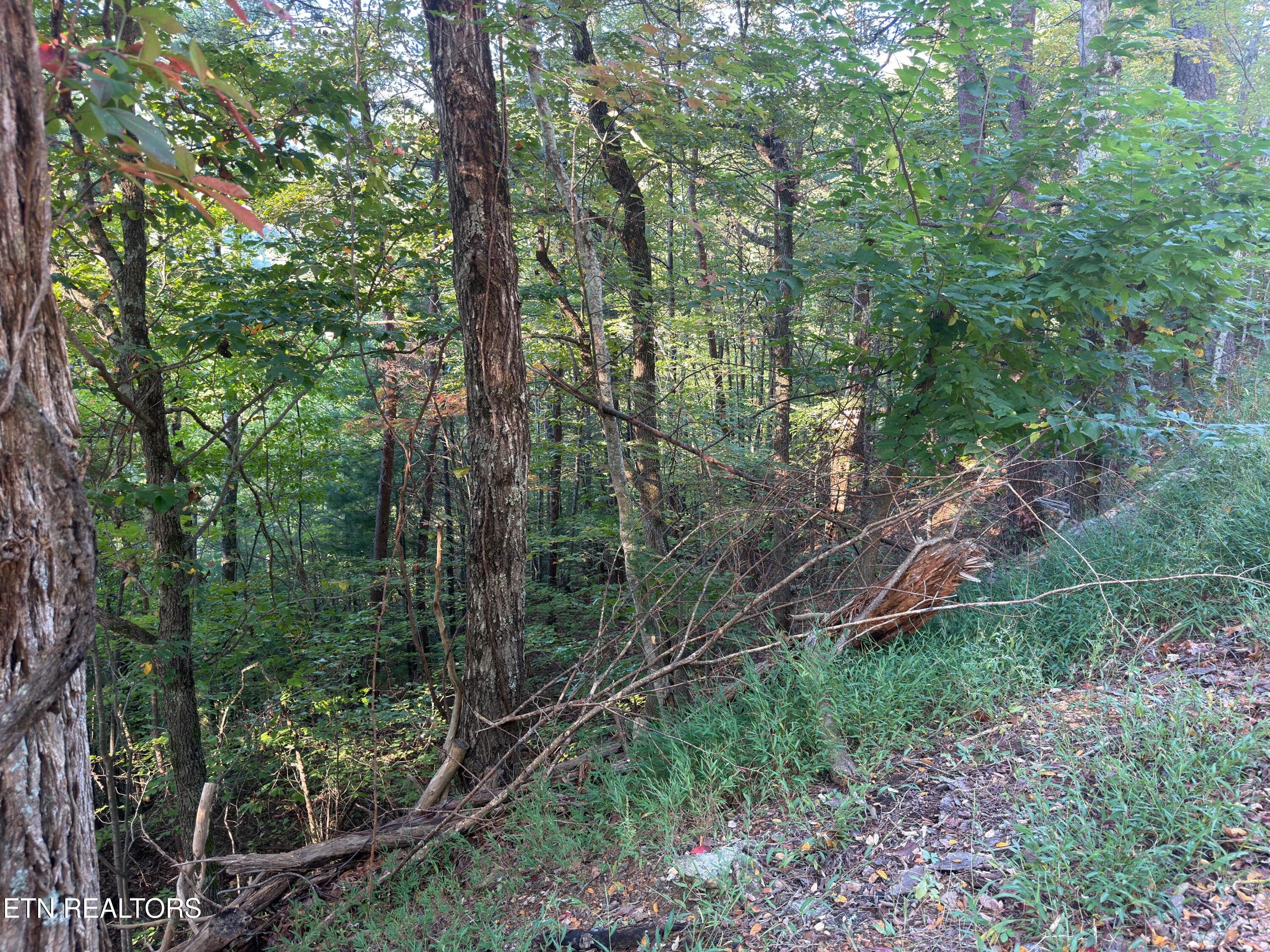 Overholt Trail Sevierville TN 37862