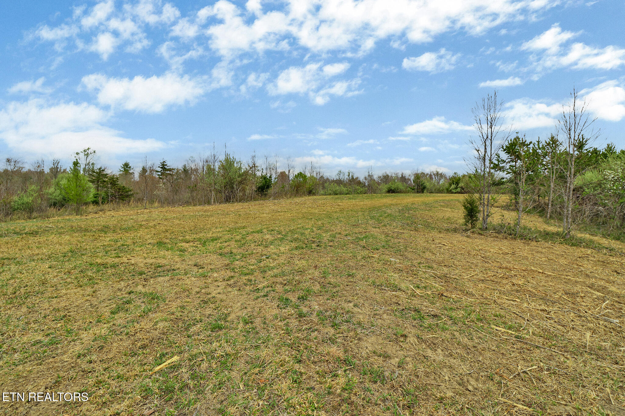 0 Grassy Knob Road Robbins TN 37852