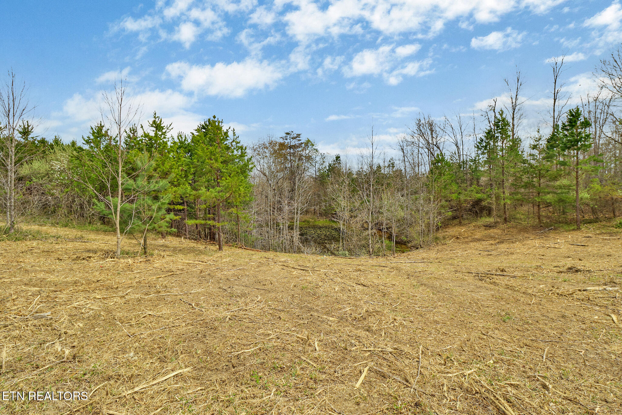 0 Grassy Knob Road Robbins TN 37852
