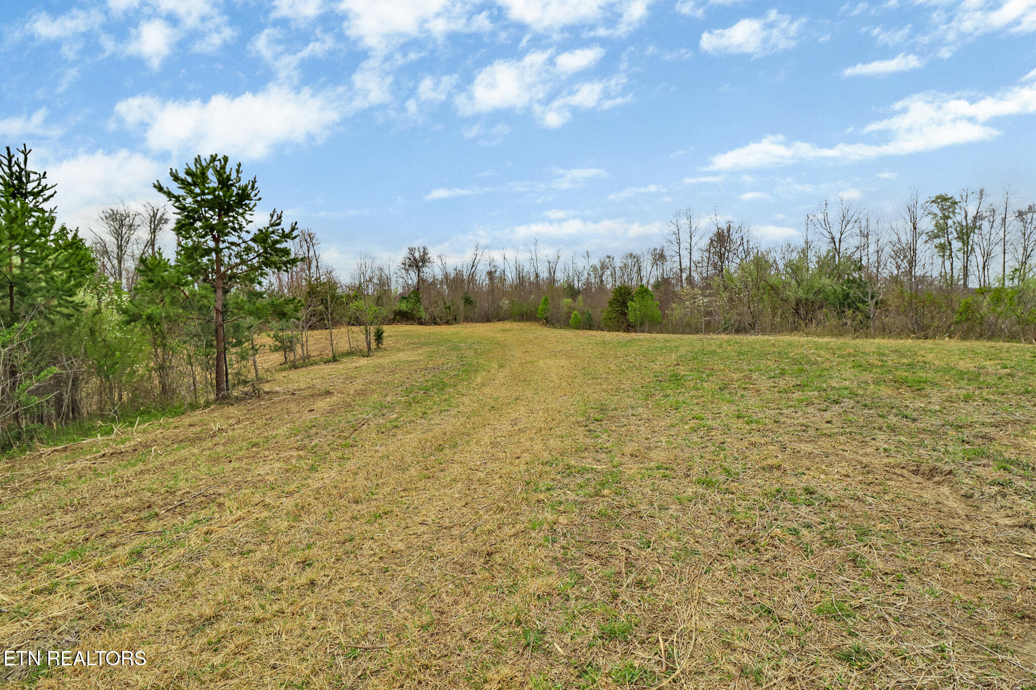 0 Grassy Knob Road Robbins TN 37852