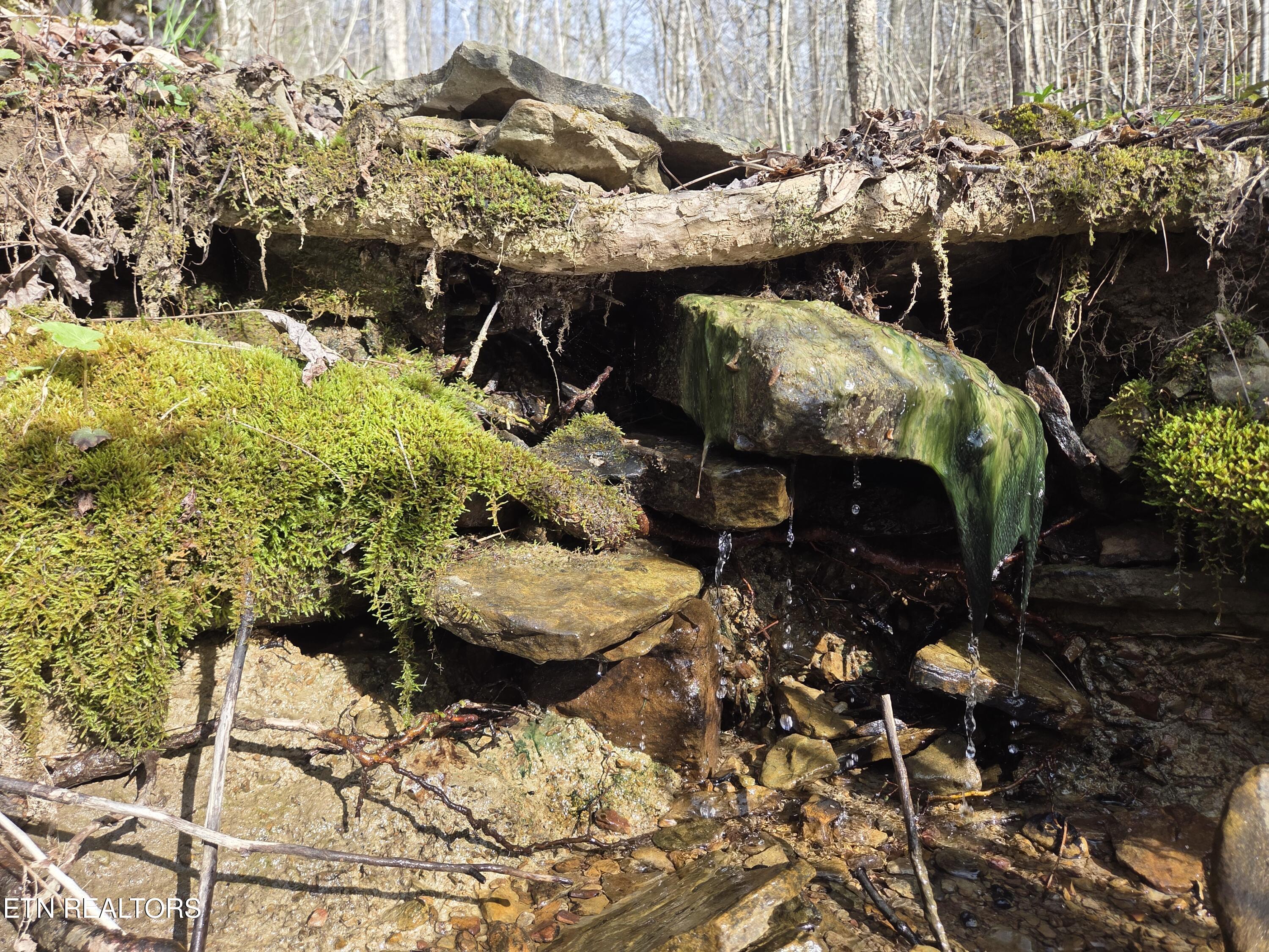 0 Grassy Knob Road Robbins TN 37852