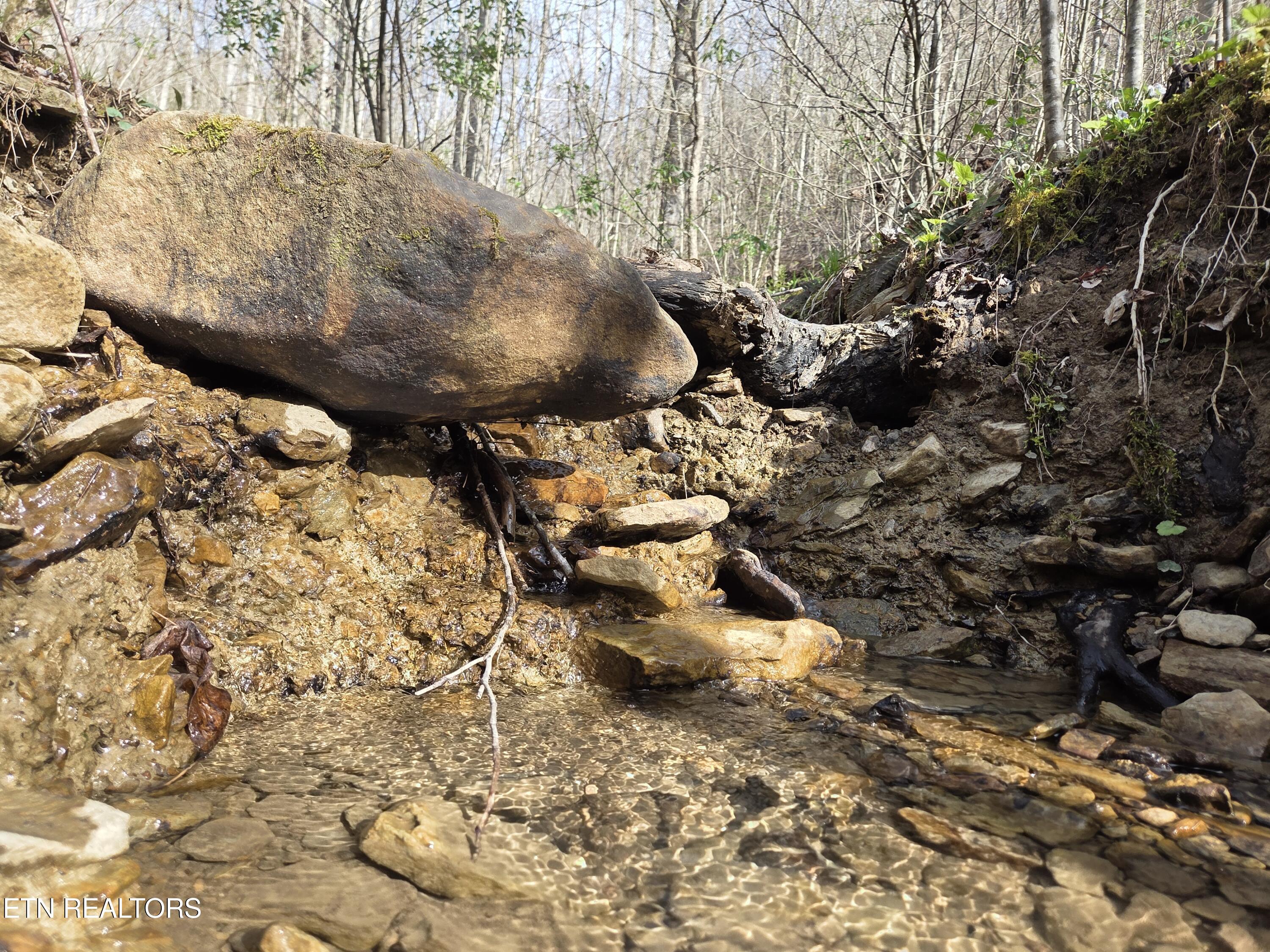 0 Grassy Knob Road Robbins TN 37852