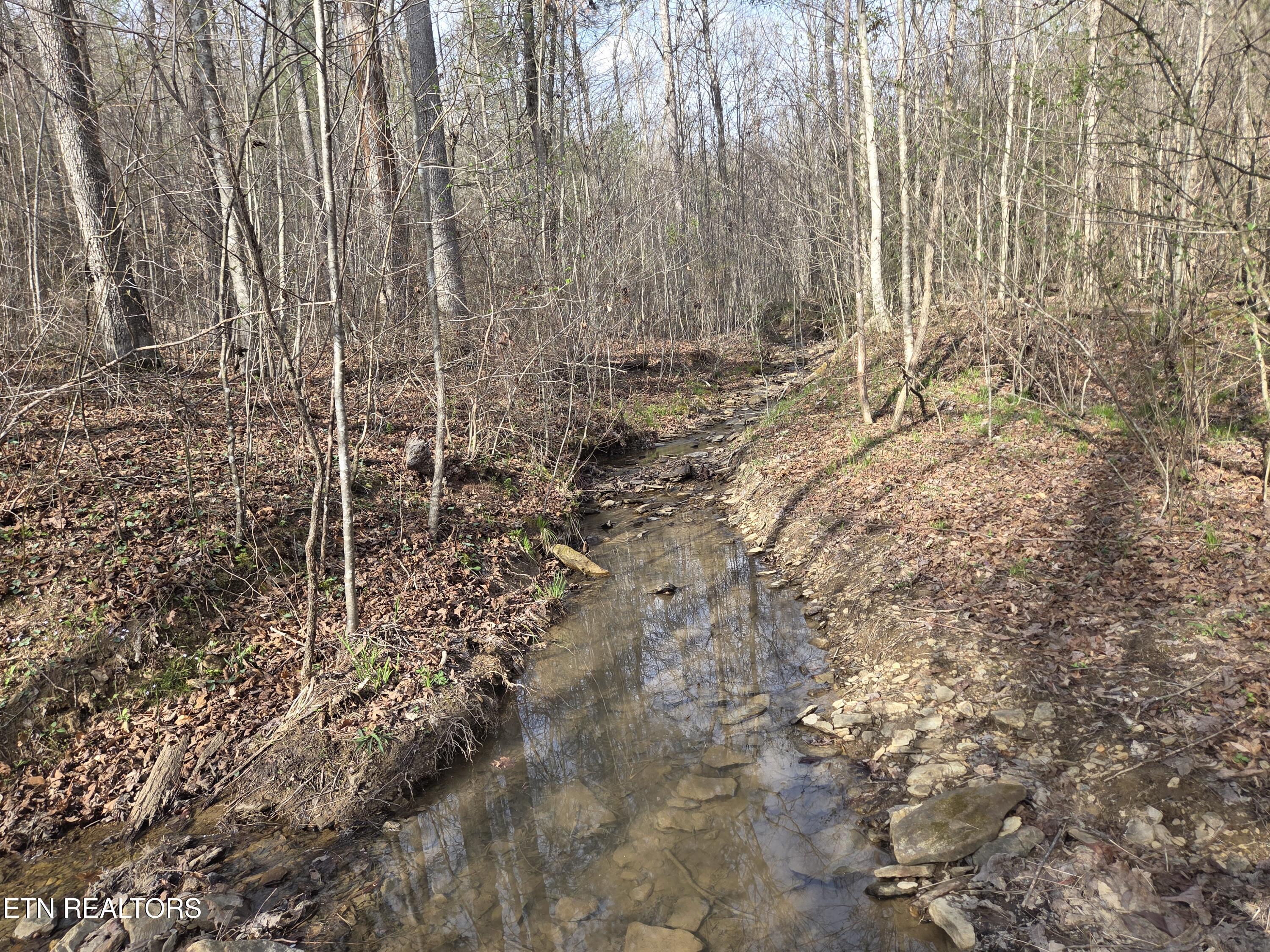 0 Grassy Knob Road Robbins TN 37852