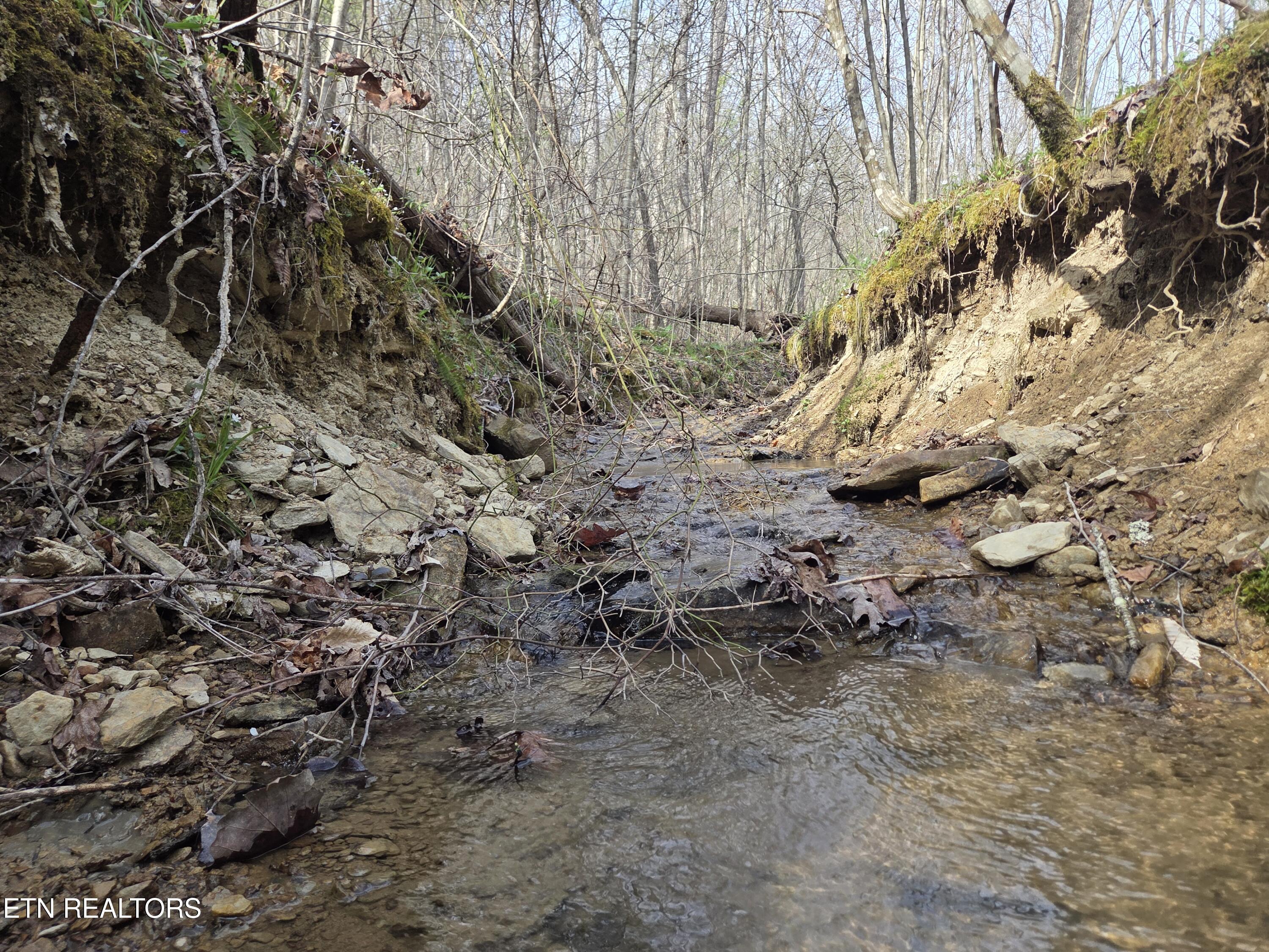 0 Grassy Knob Road Robbins TN 37852