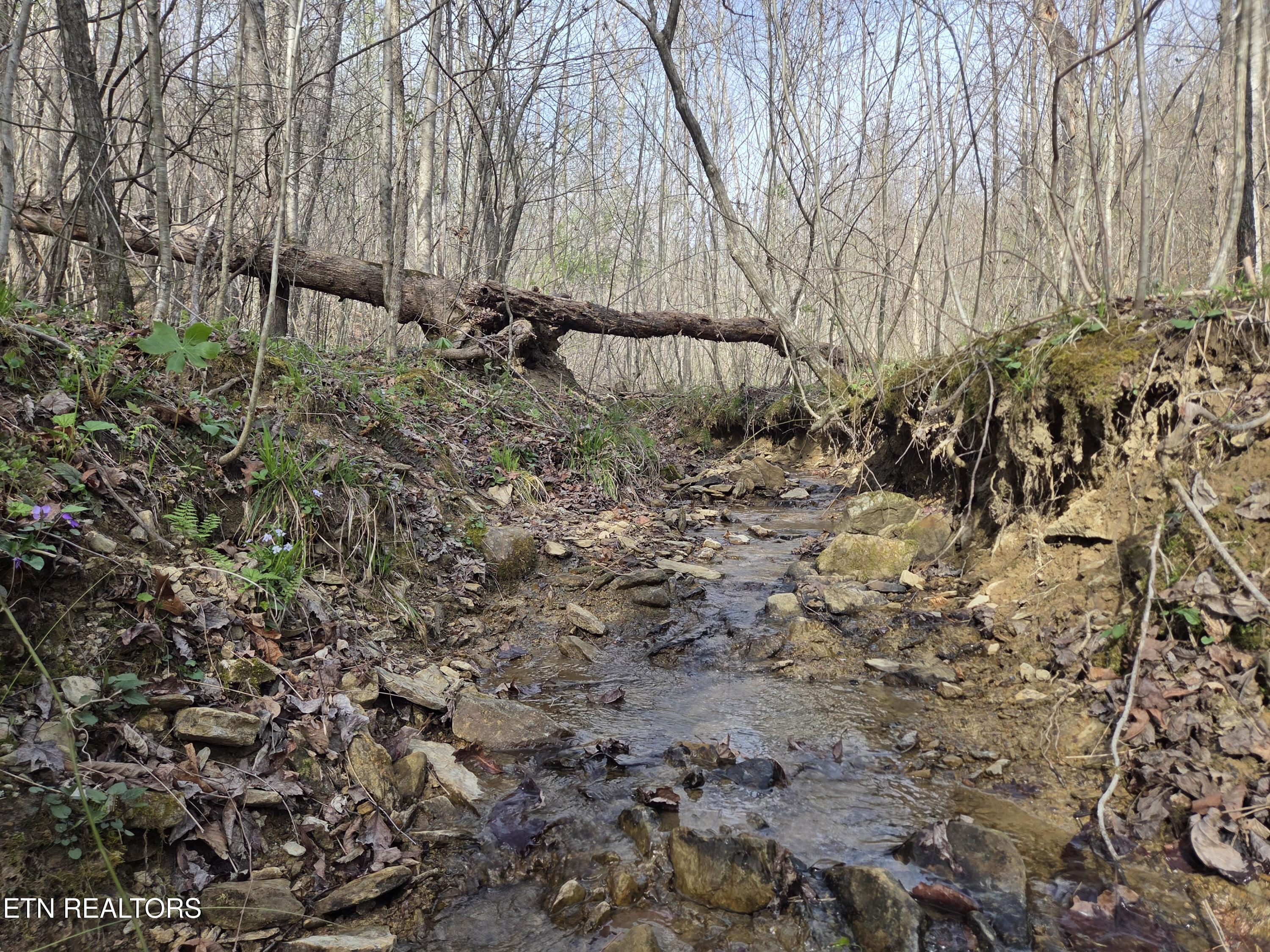 0 Grassy Knob Road Robbins TN 37852