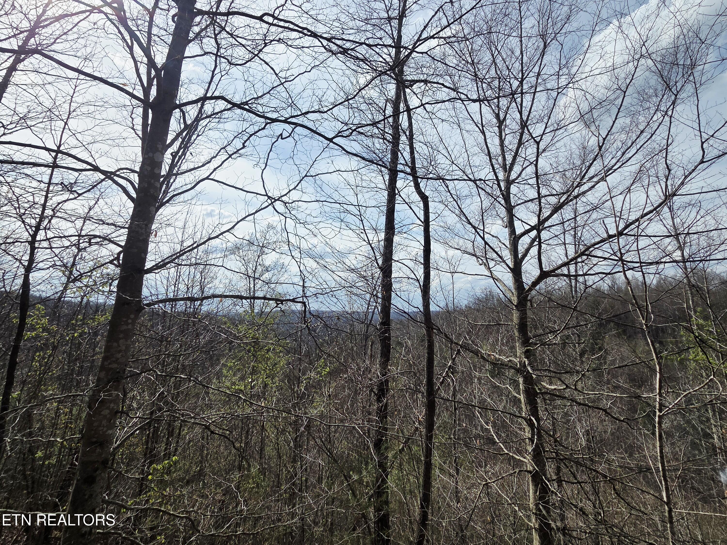 0 Grassy Knob Road Robbins TN 37852