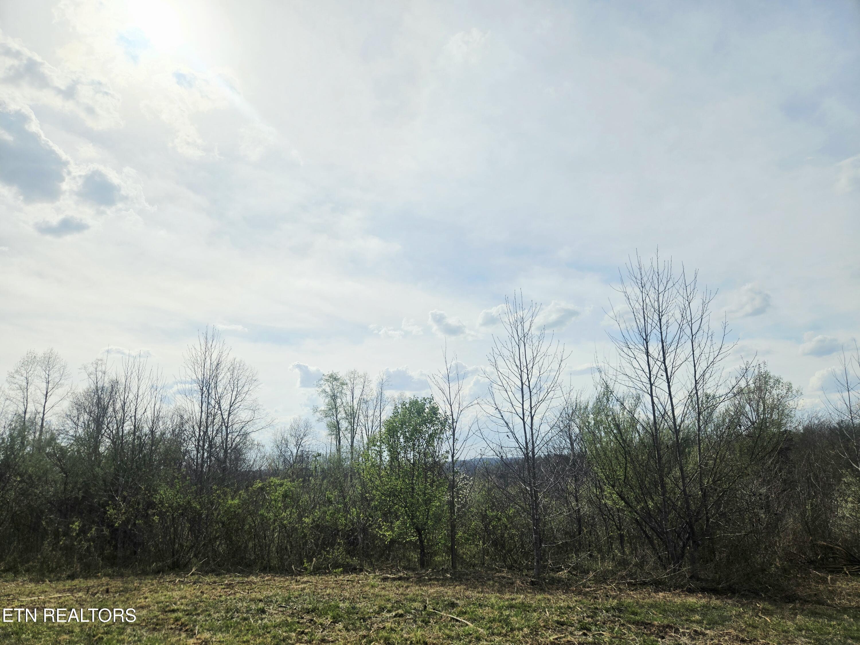 0 Grassy Knob Road Robbins TN 37852