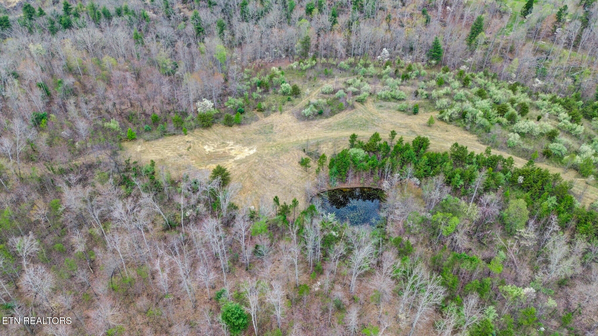 0 Grassy Knob Road Robbins TN 37852