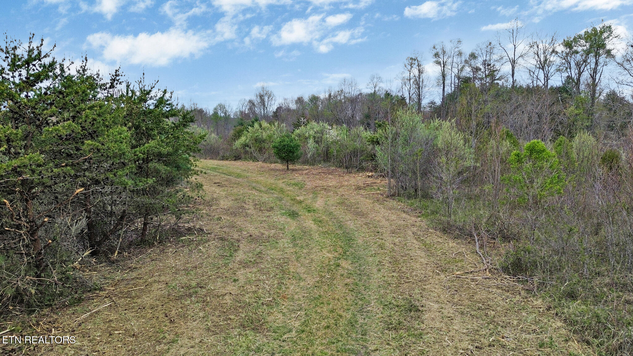 0 Grassy Knob Road Robbins TN 37852