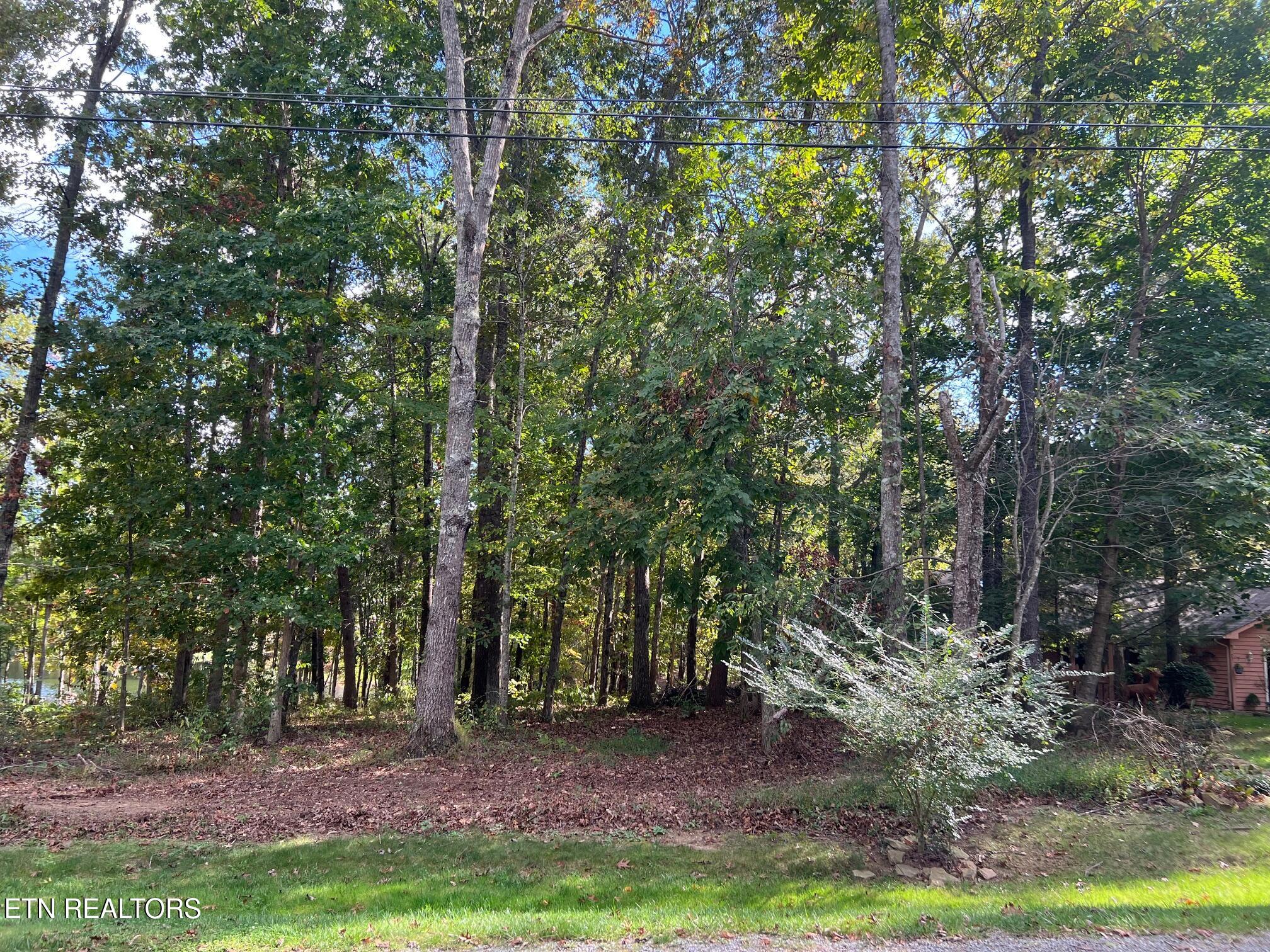 15 Andover Lane Crossville TN 38558
