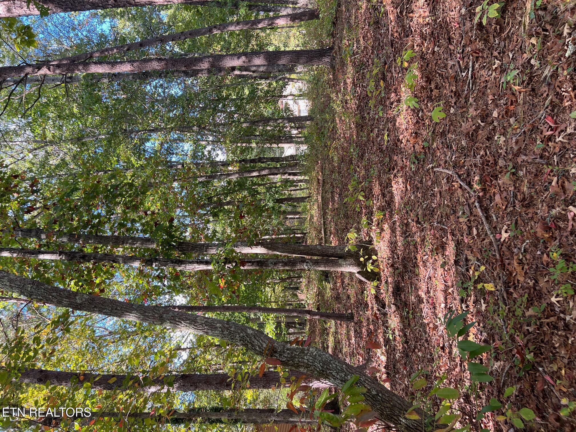 15 Andover Lane Crossville TN 38558