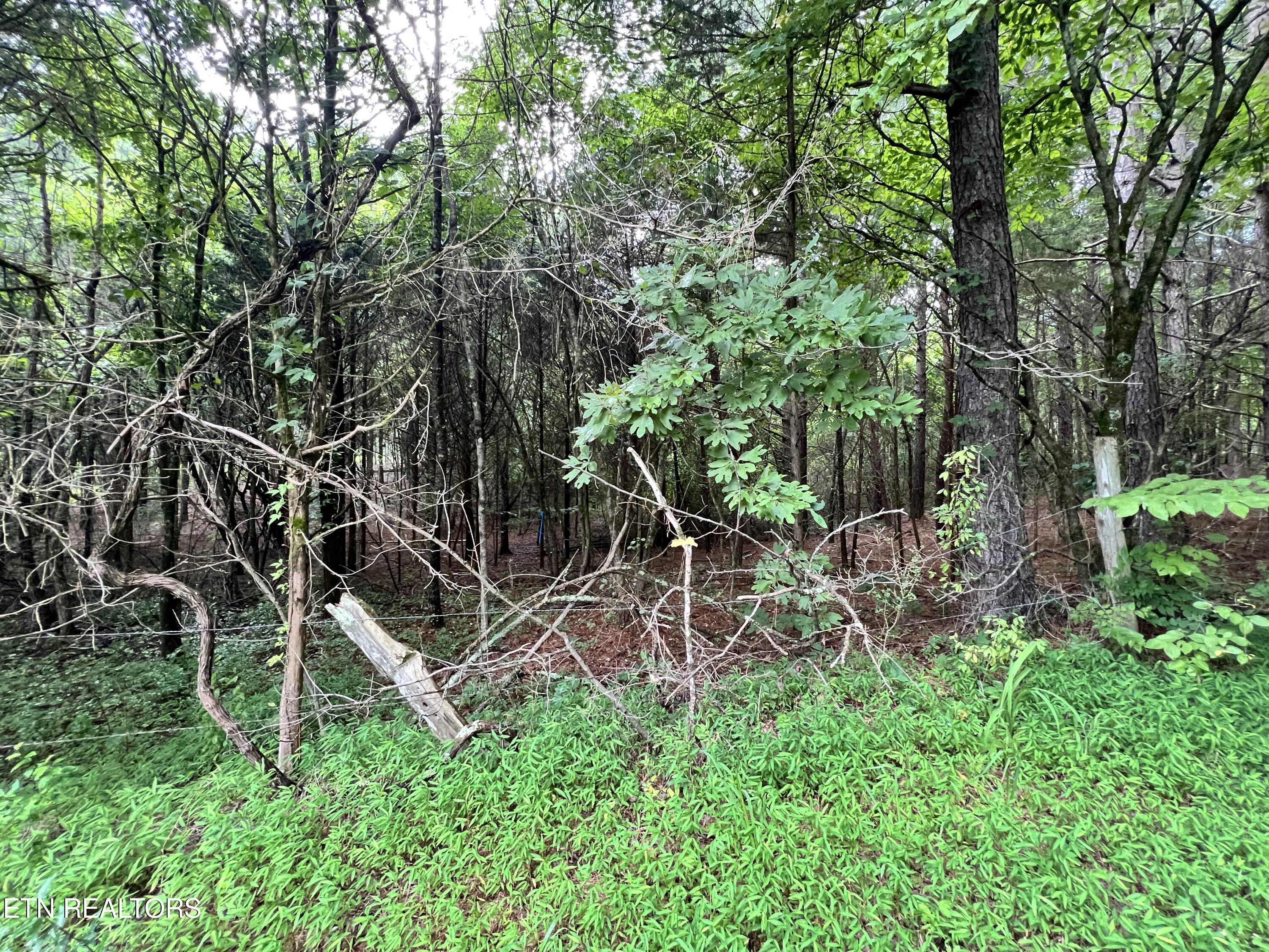Lot 7 Willie Prigmore Road Decatur TN 37322