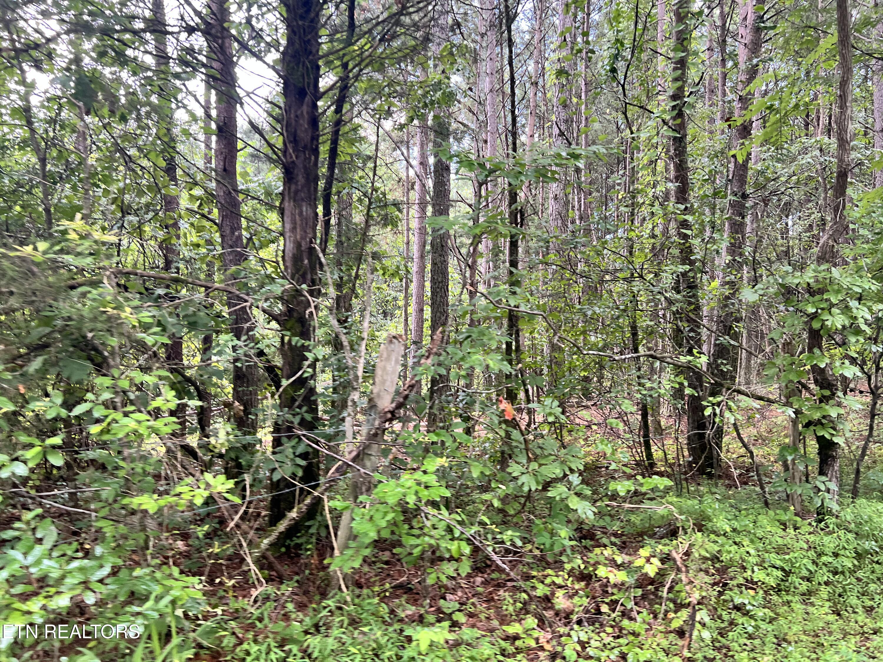 Lot 7 Willie Prigmore Road Decatur TN 37322