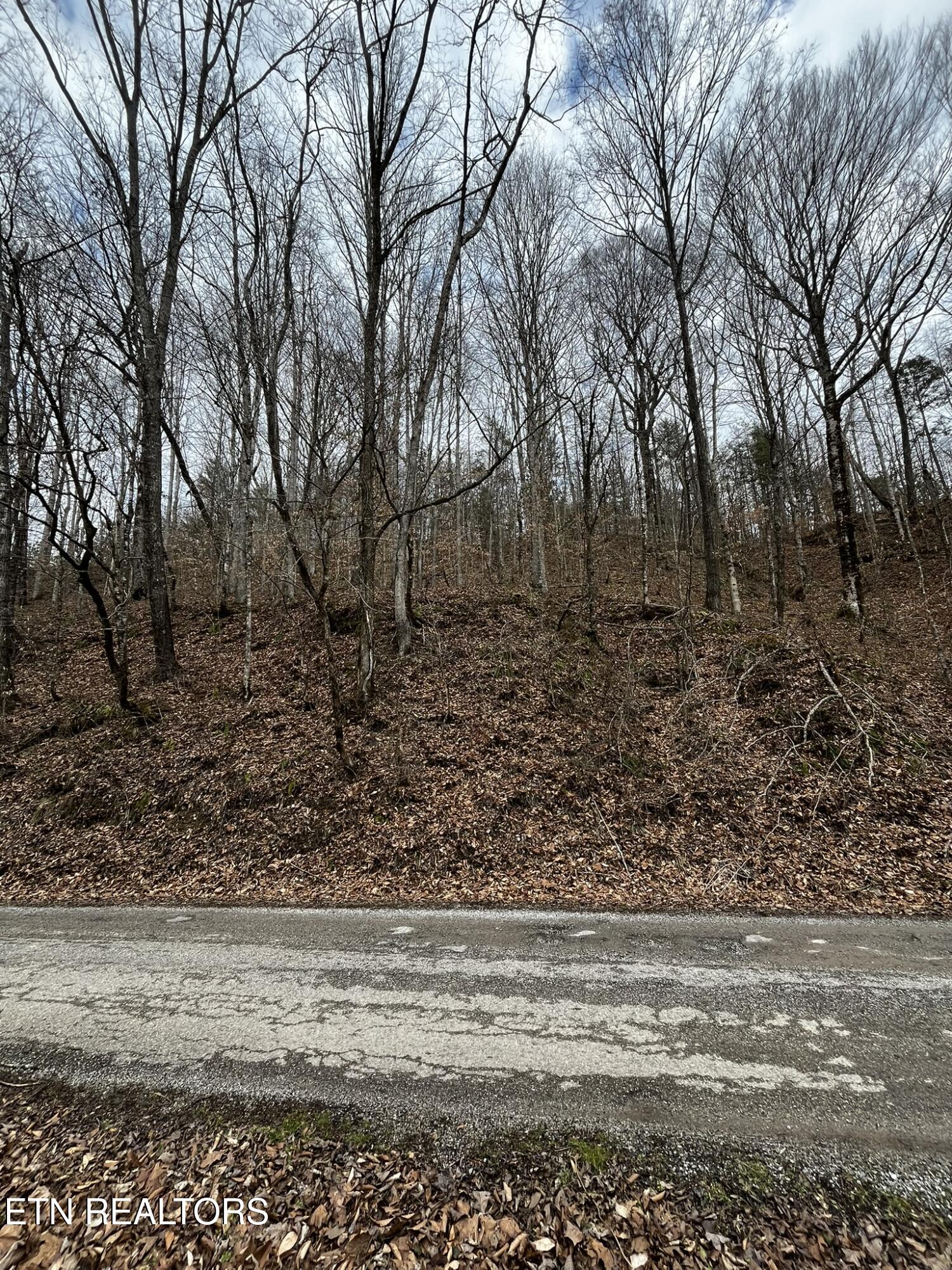 0 Paint Rock Creek Oneida TN 37841