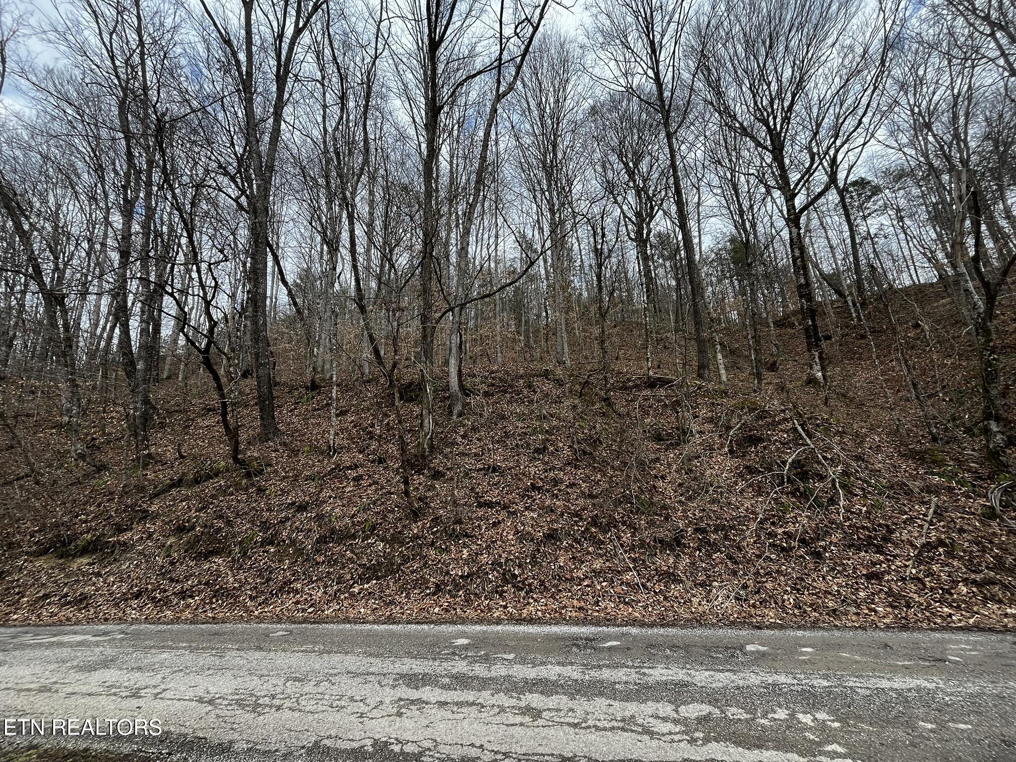 0 Paint Rock Creek Oneida TN 37841