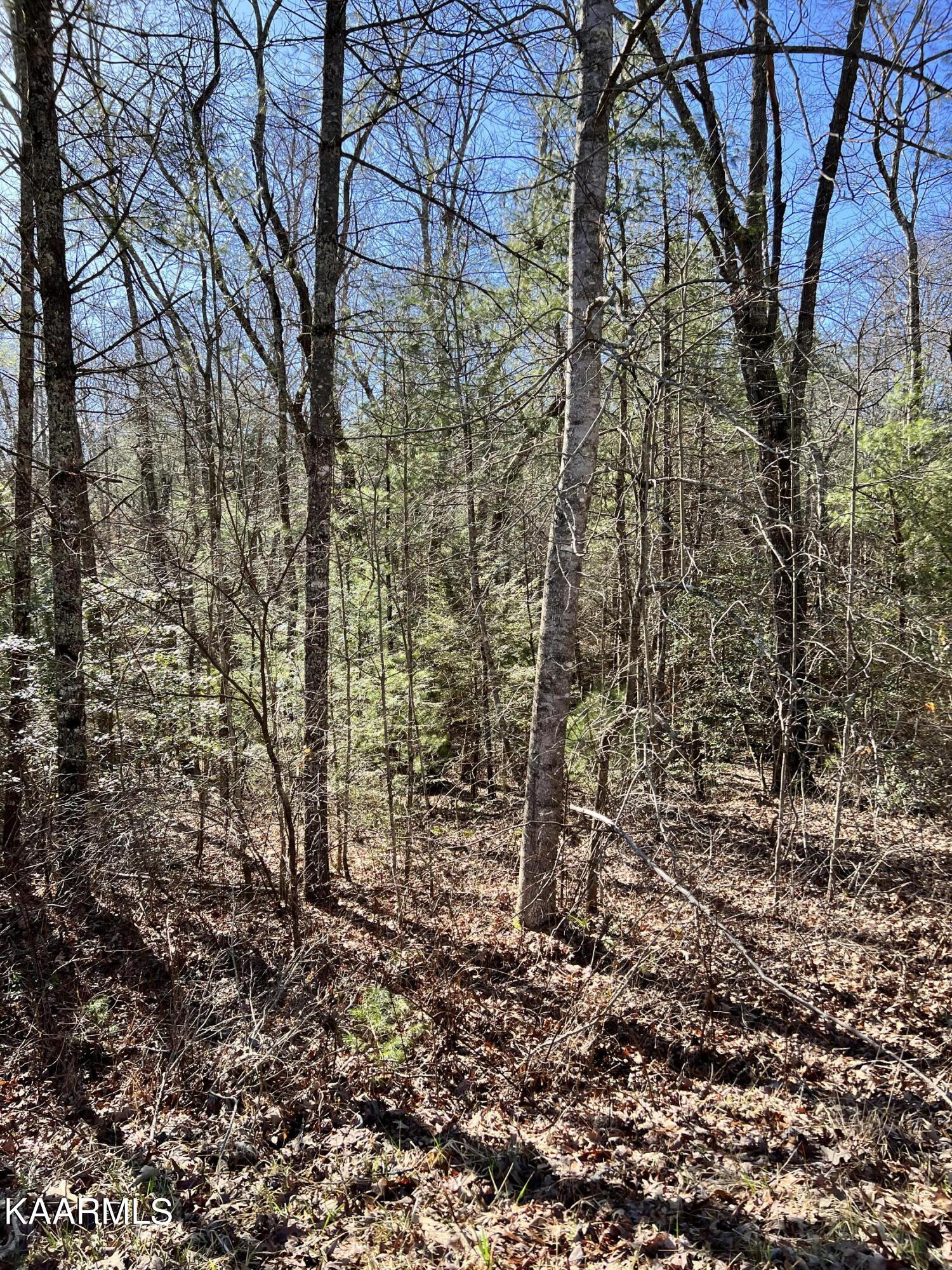 140 Natchez Circle Crossville TN 38558