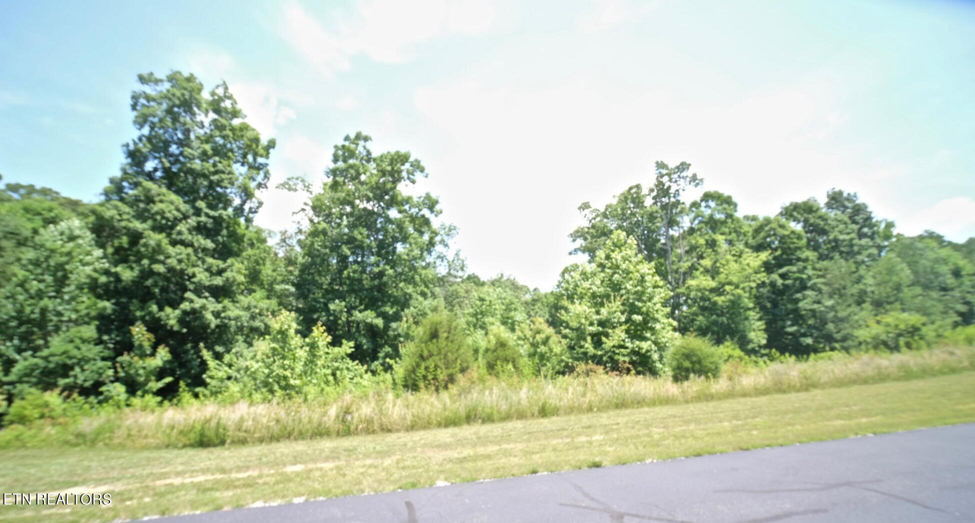 282 W Mountain Drive Rockwood TN 37854