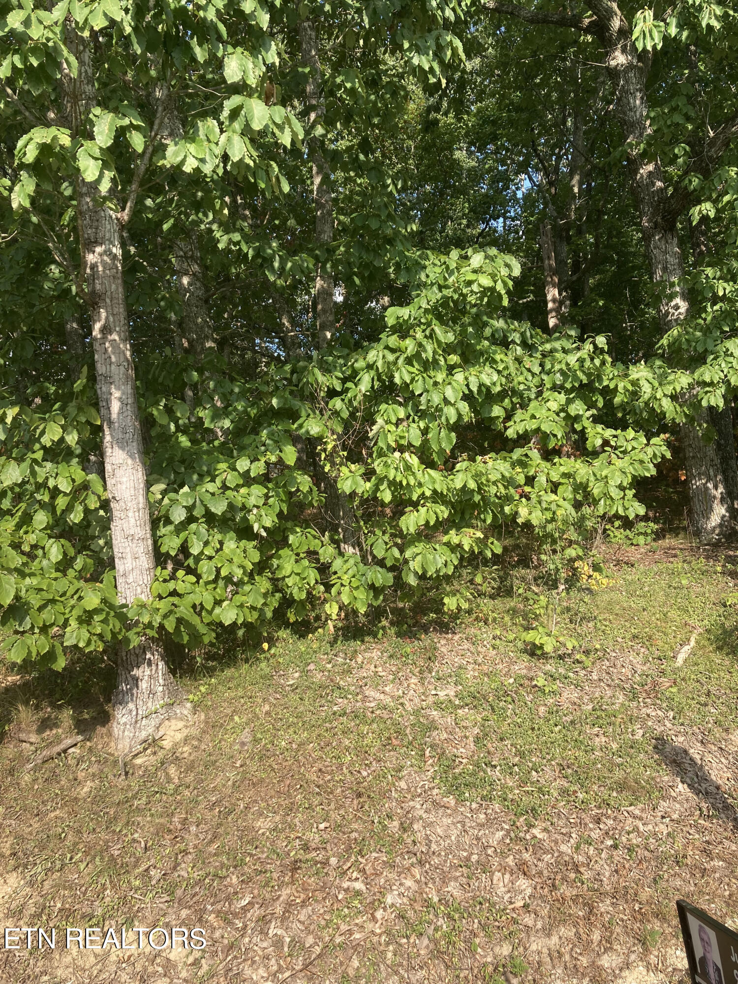 127 Brokenwood Lane Crossville TN 38558