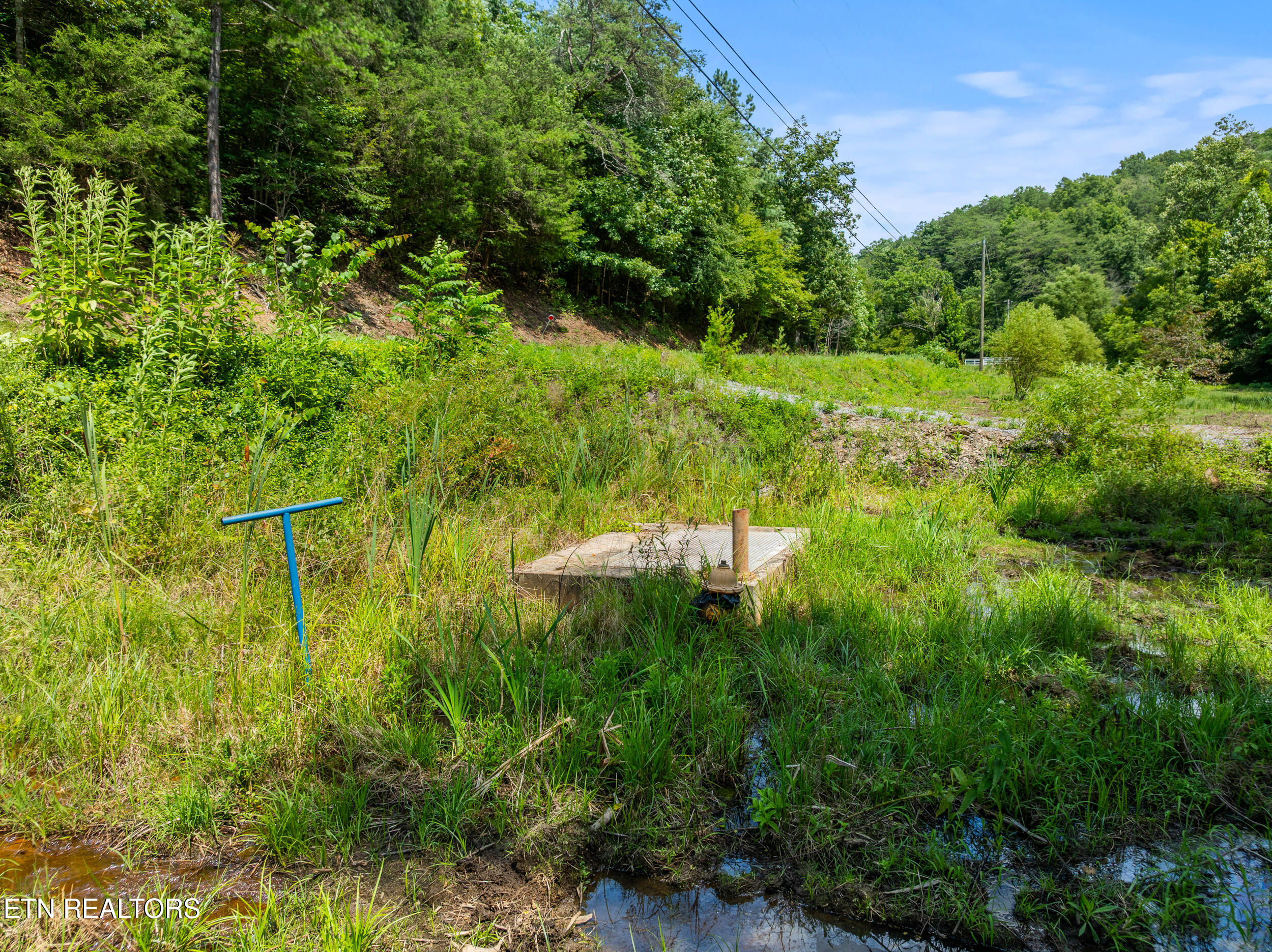 Jones Cove Road Sevierville TN 37876
