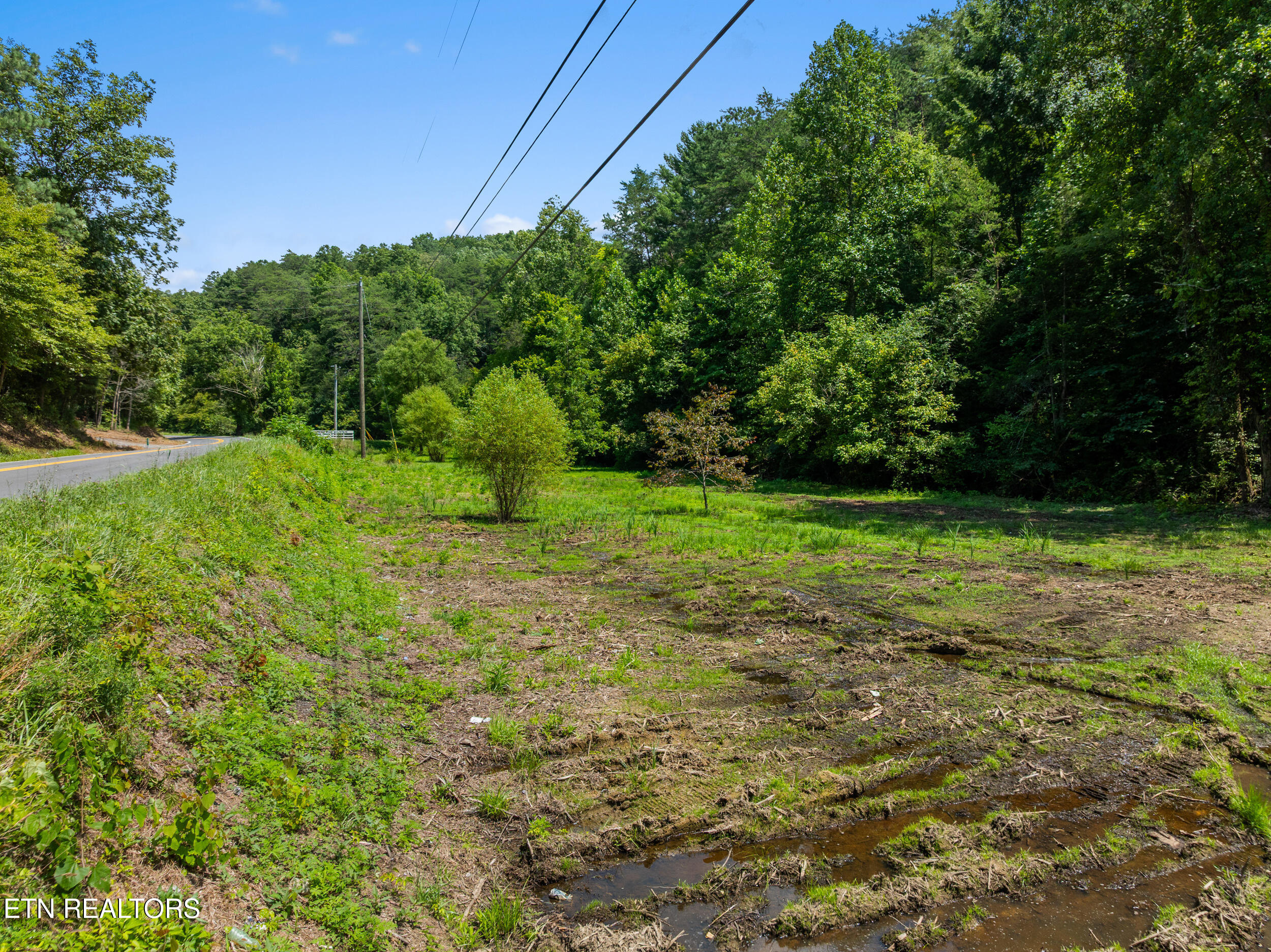 Jones Cove Road Sevierville TN 37876
