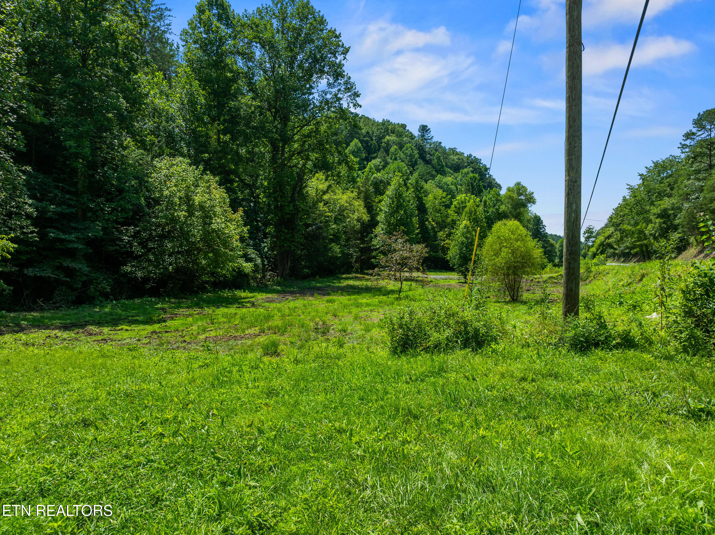 Jones Cove Road Sevierville TN 37876