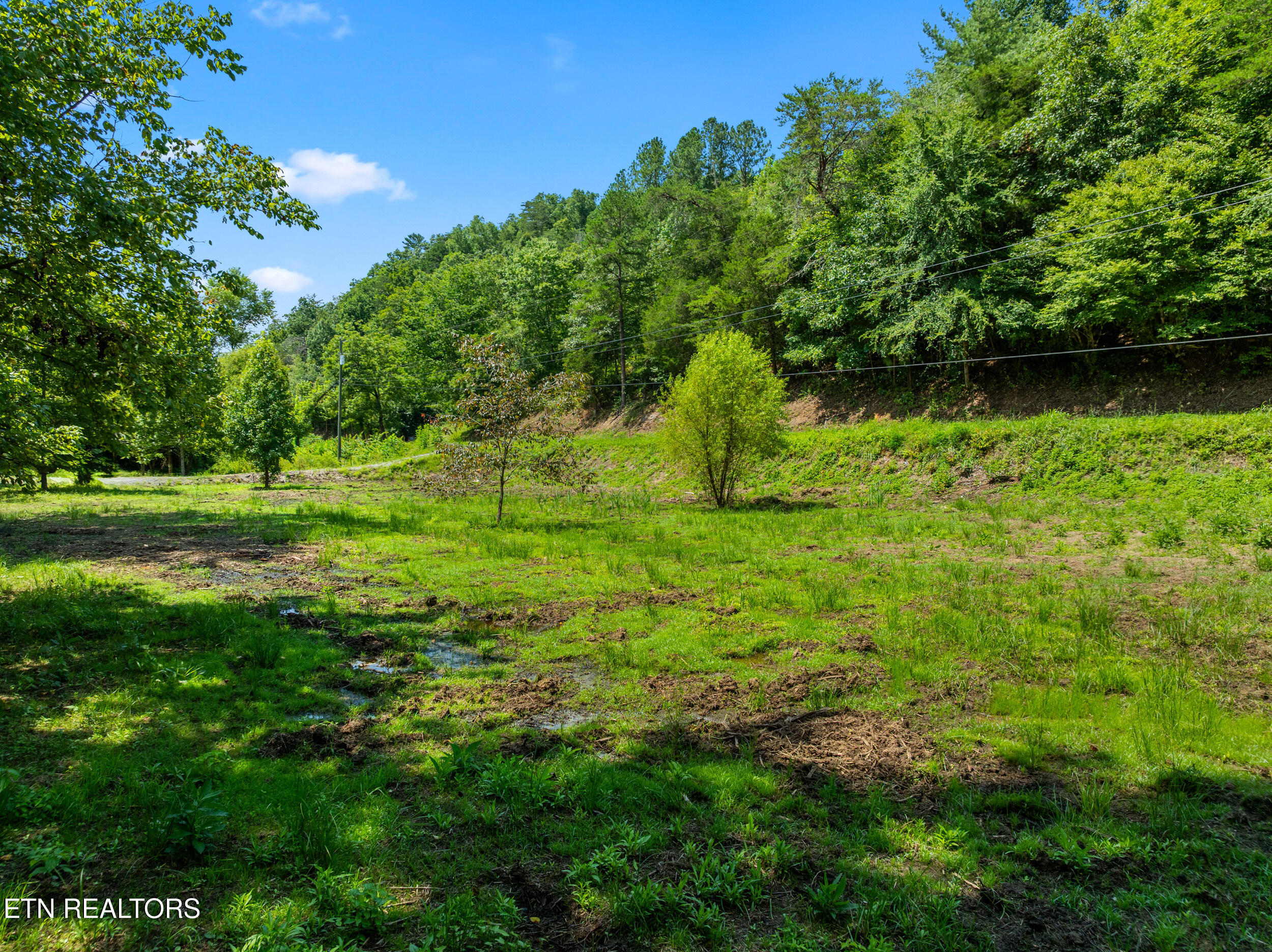 Jones Cove Road Sevierville TN 37876