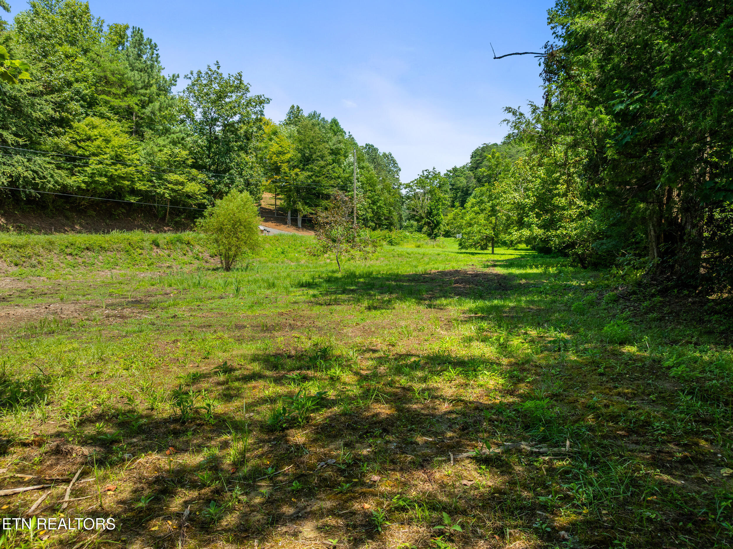 Jones Cove Road Sevierville TN 37876