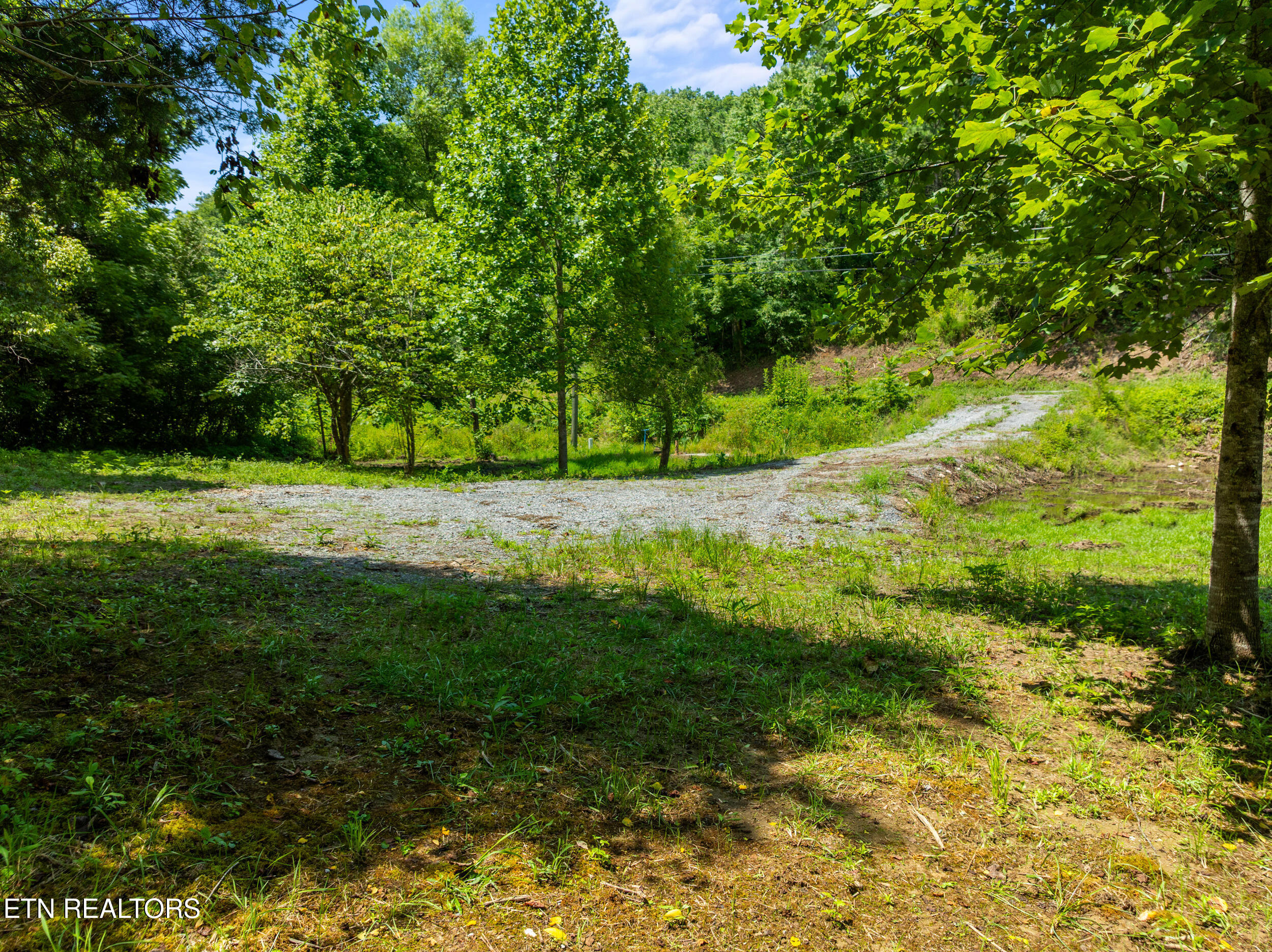 Jones Cove Road Sevierville TN 37876