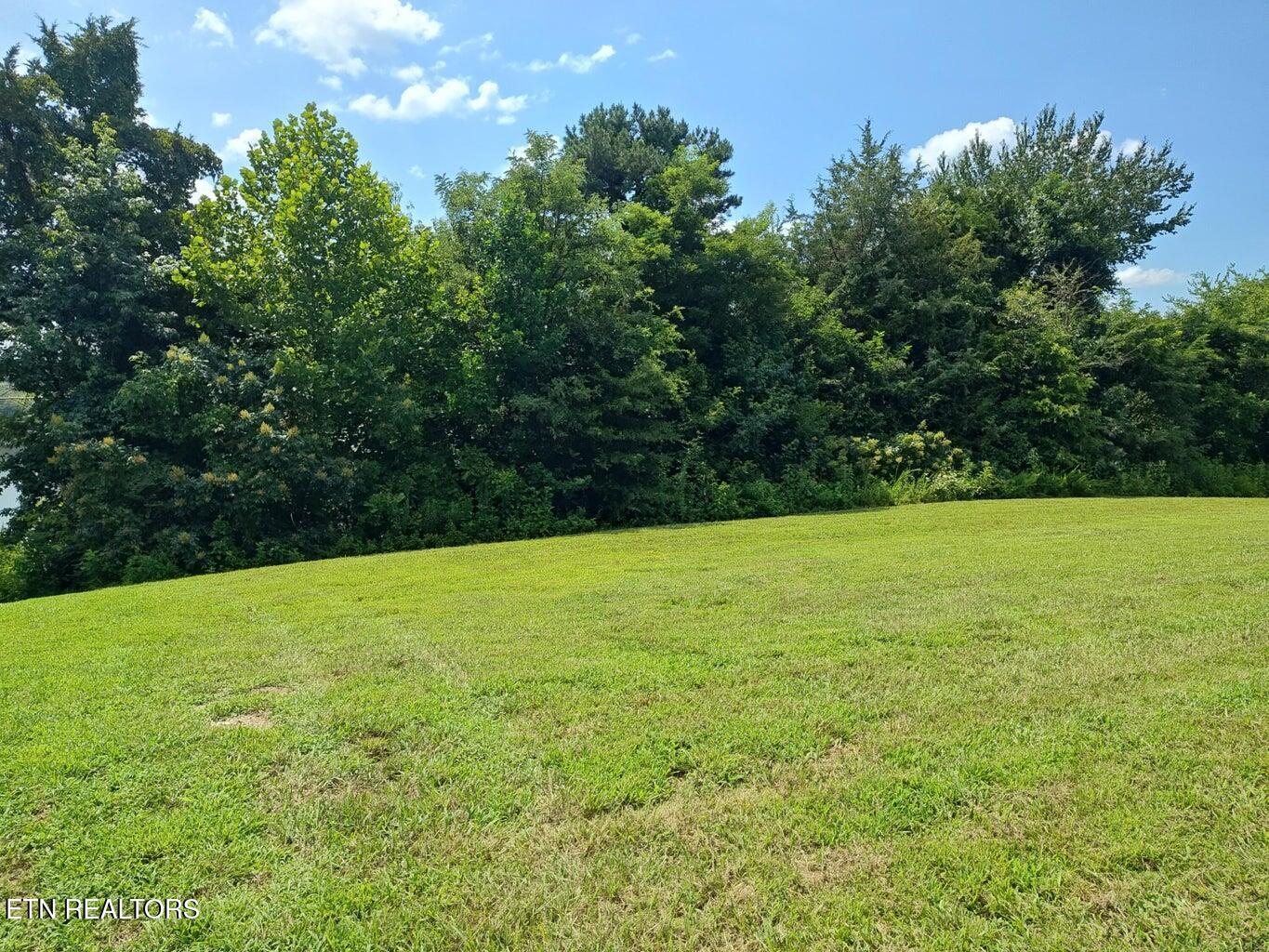 Espalier Drive Decatur TN 37322