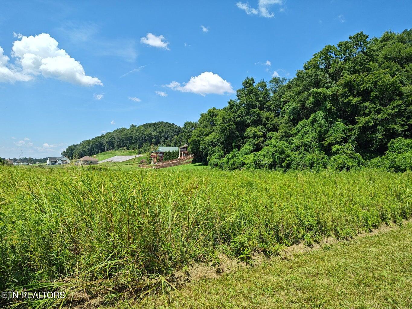 Espalier Drive Decatur TN 37322