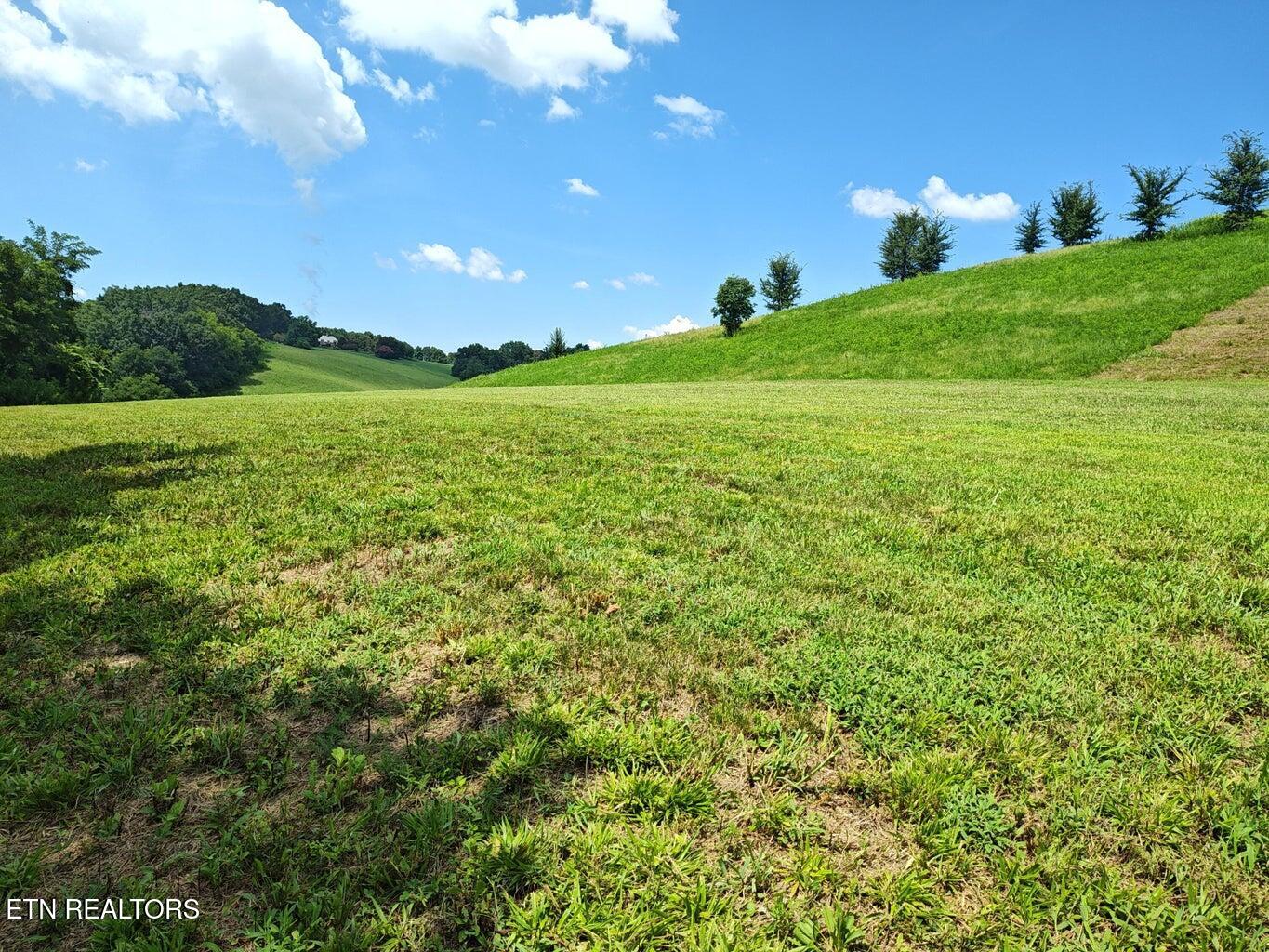 Espalier Drive Decatur TN 37322