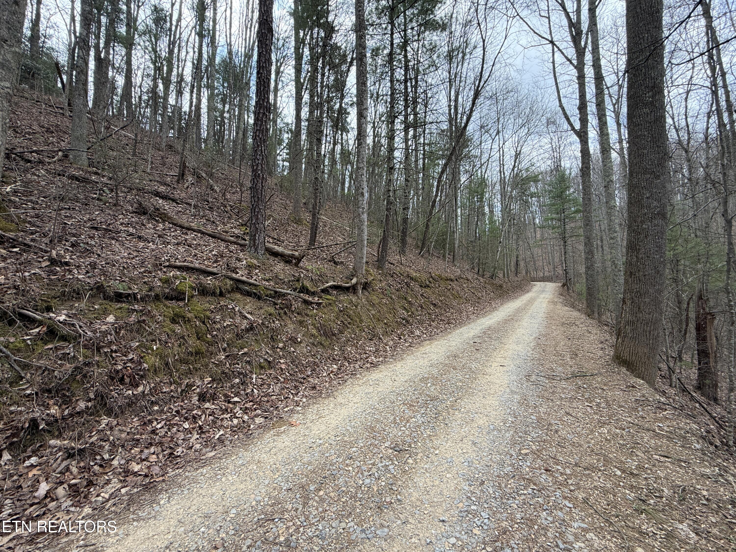 4.01 Reece Hollow Road Del Rio TN 37727