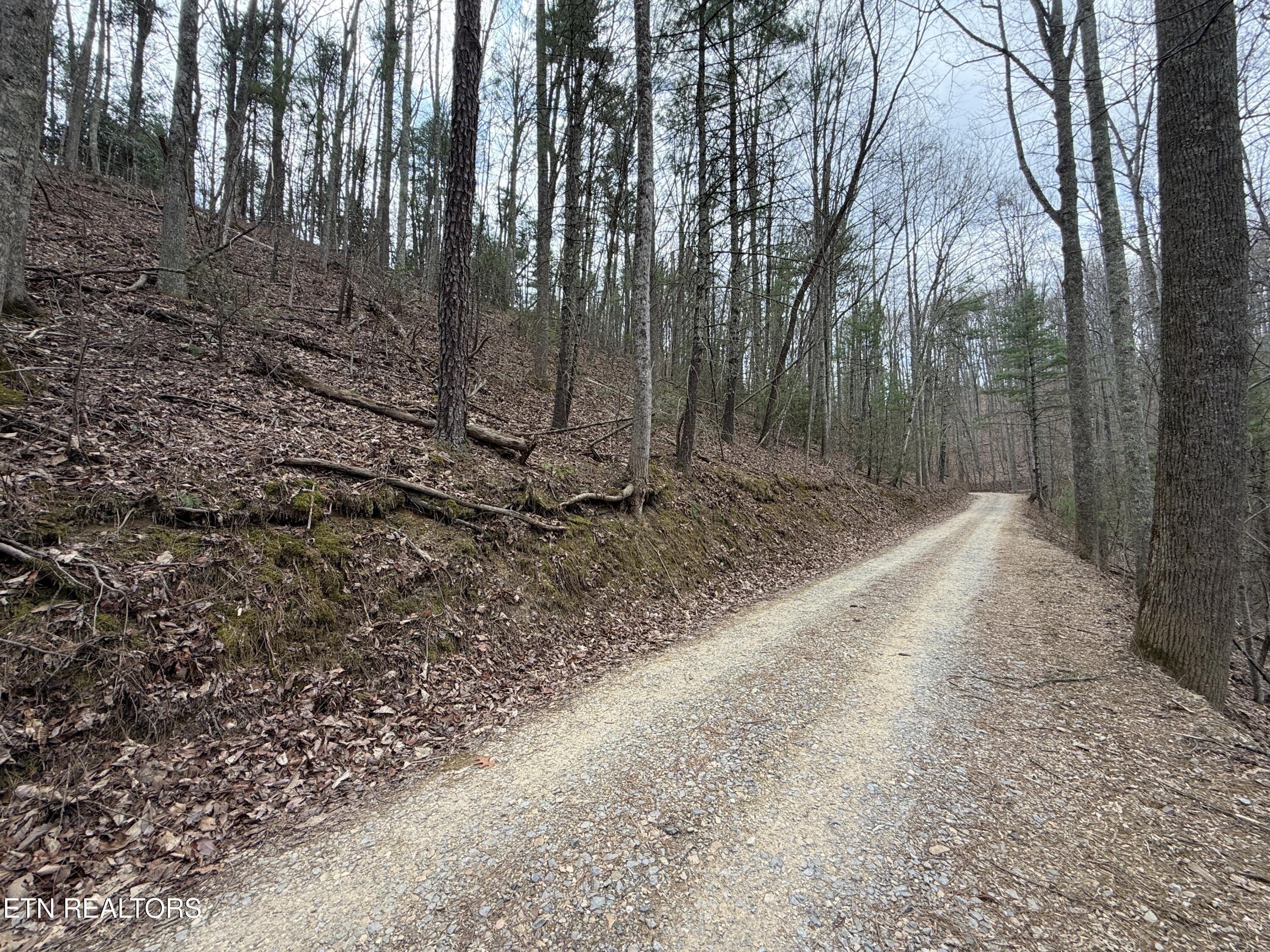4.01 Reece Hollow Road Del Rio TN 37727