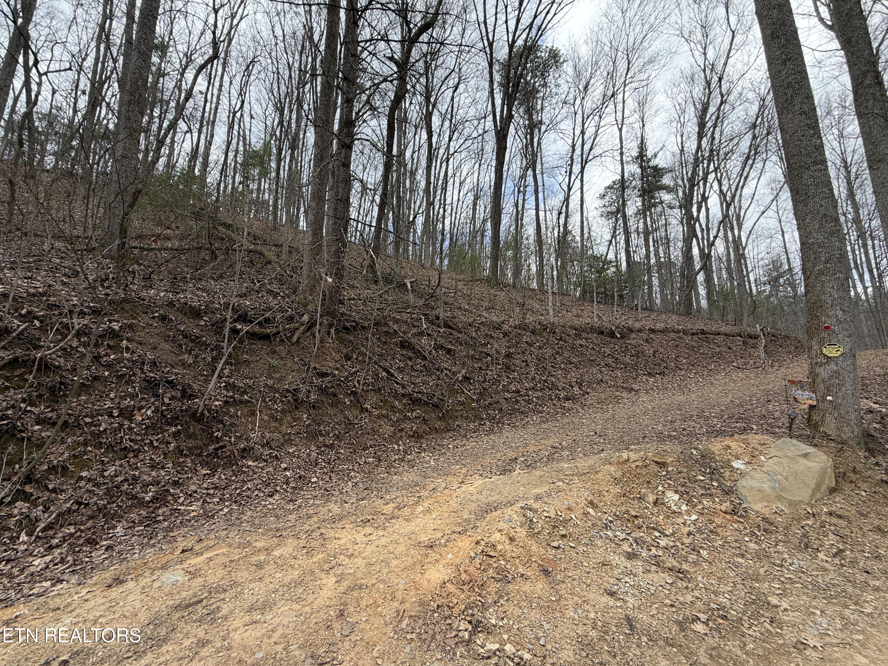 4.01 Reece Hollow Road Del Rio TN 37727
