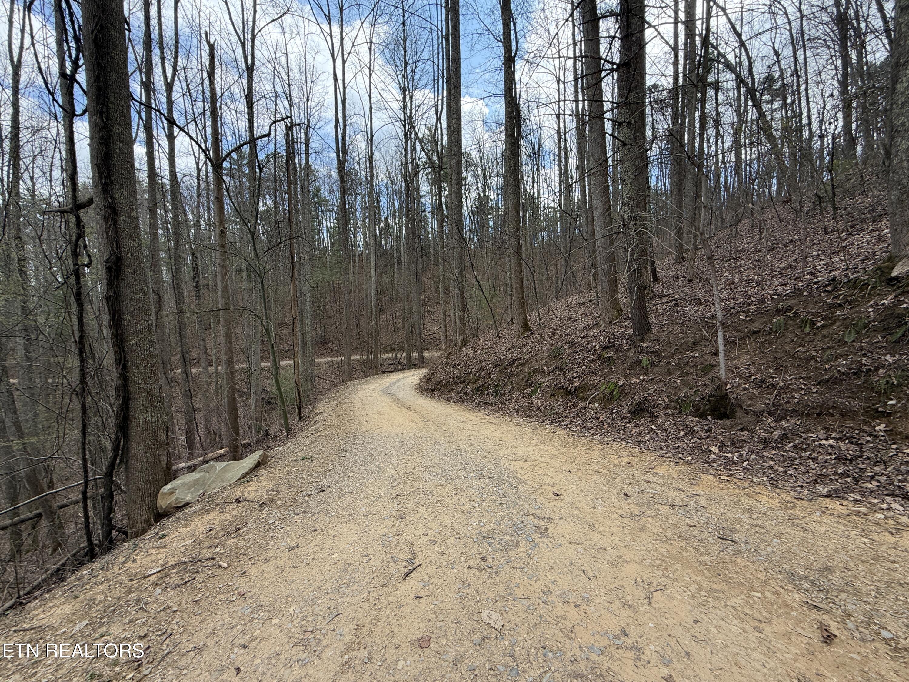 4.01 Reece Hollow Road Del Rio TN 37727