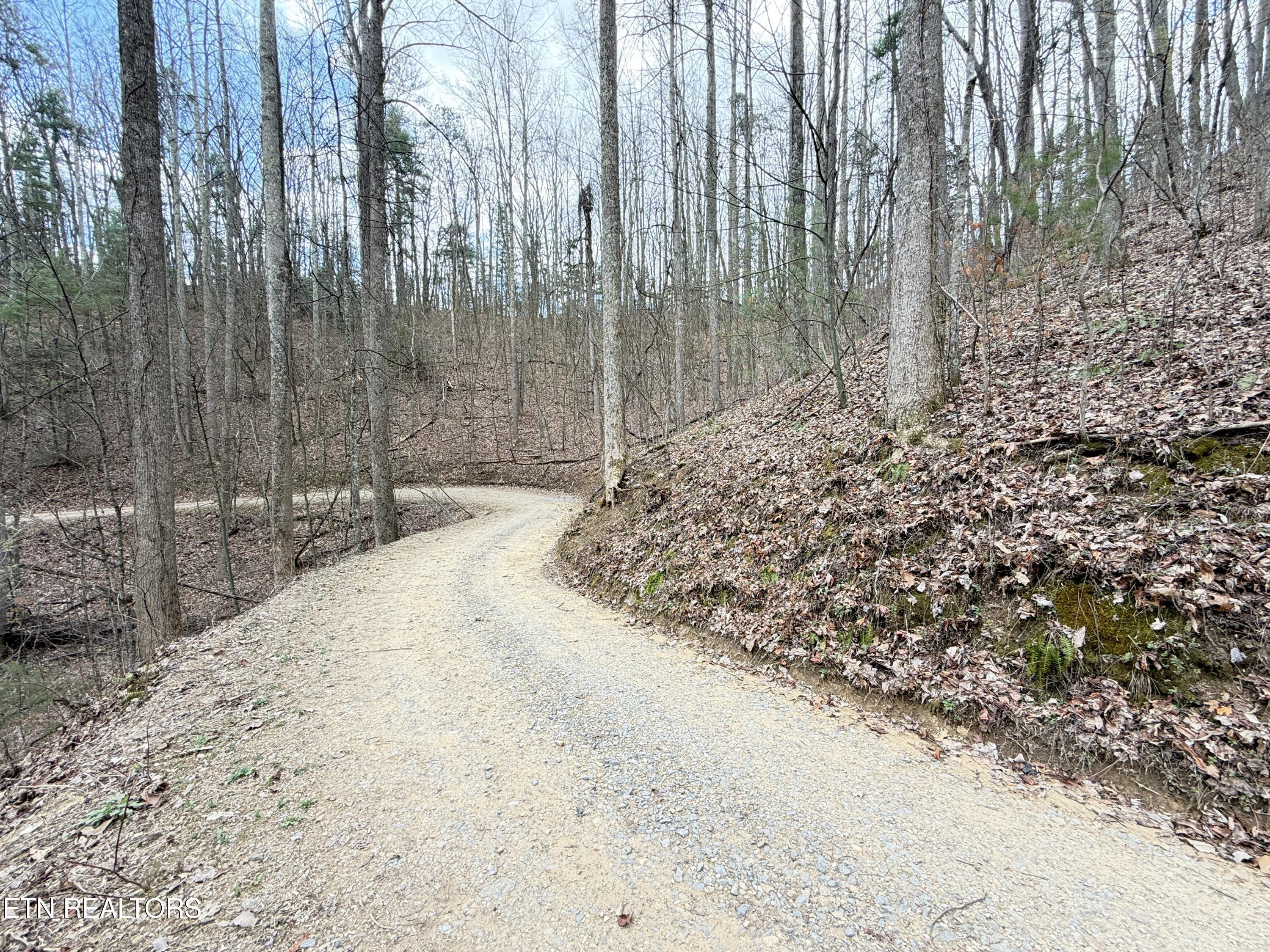 4.01 Reece Hollow Road Del Rio TN 37727