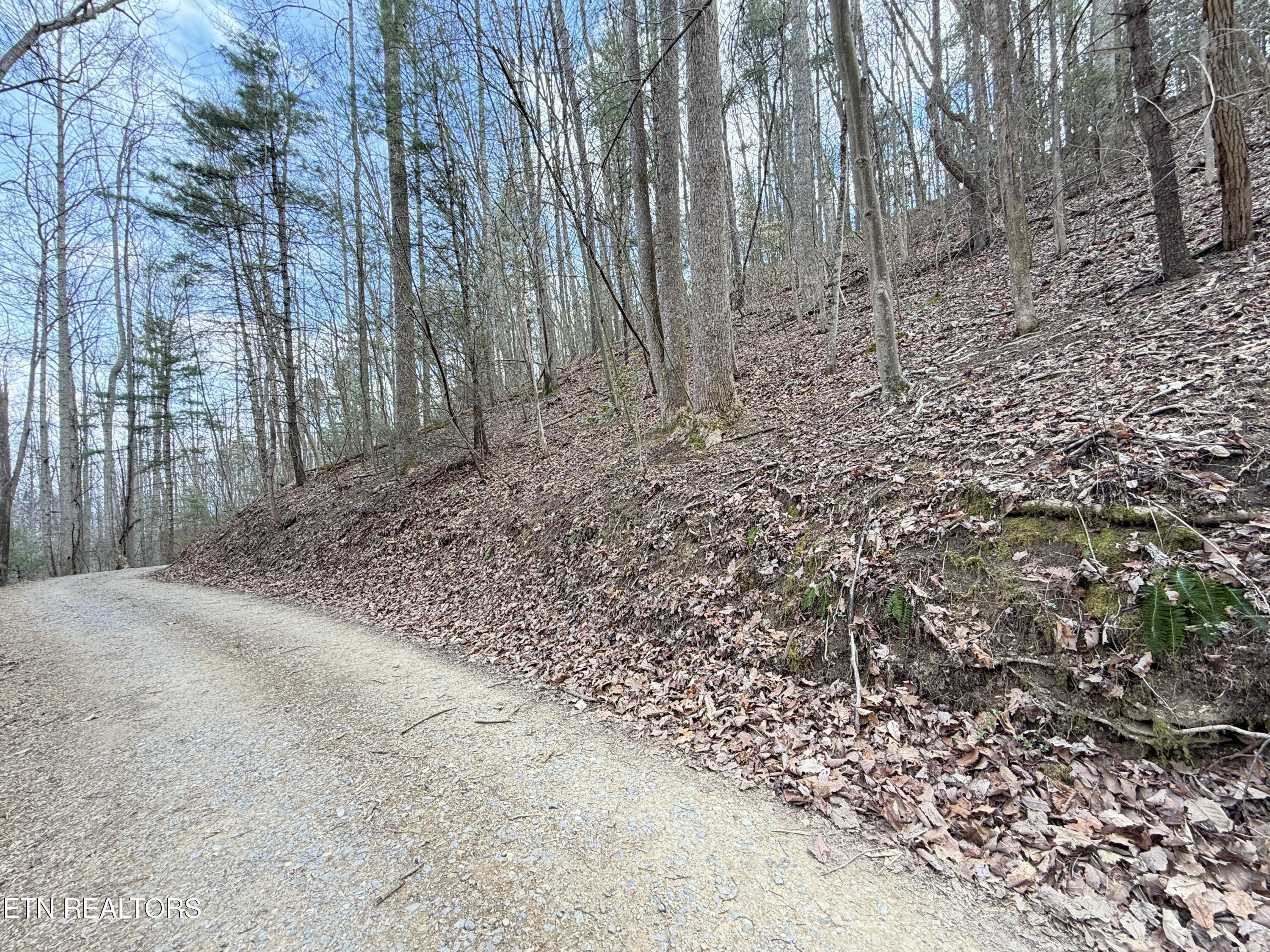 4.01 Reece Hollow Road Del Rio TN 37727